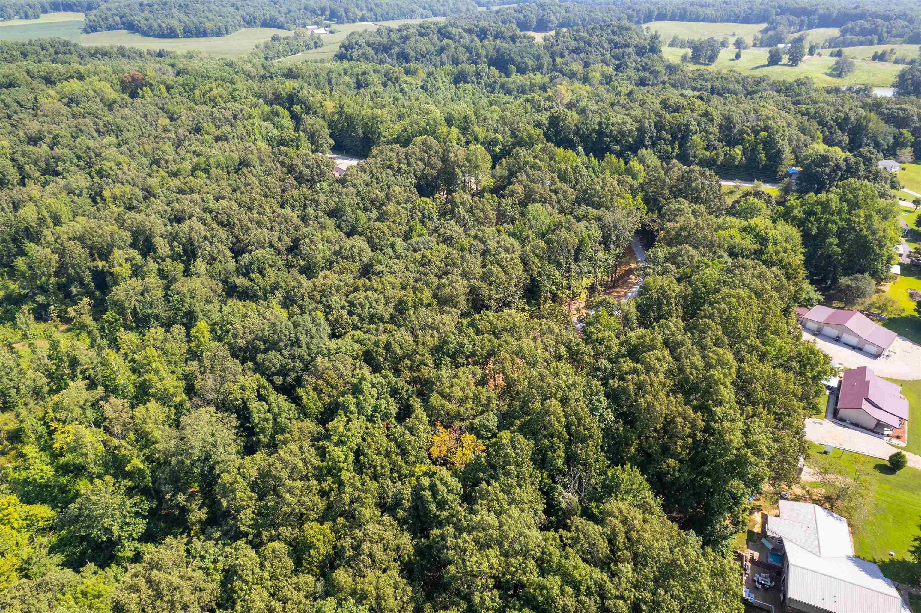 3973 State Route 657, Lewisport, Kentucky 42351, ,Land,For Sale,State Route 657,92824