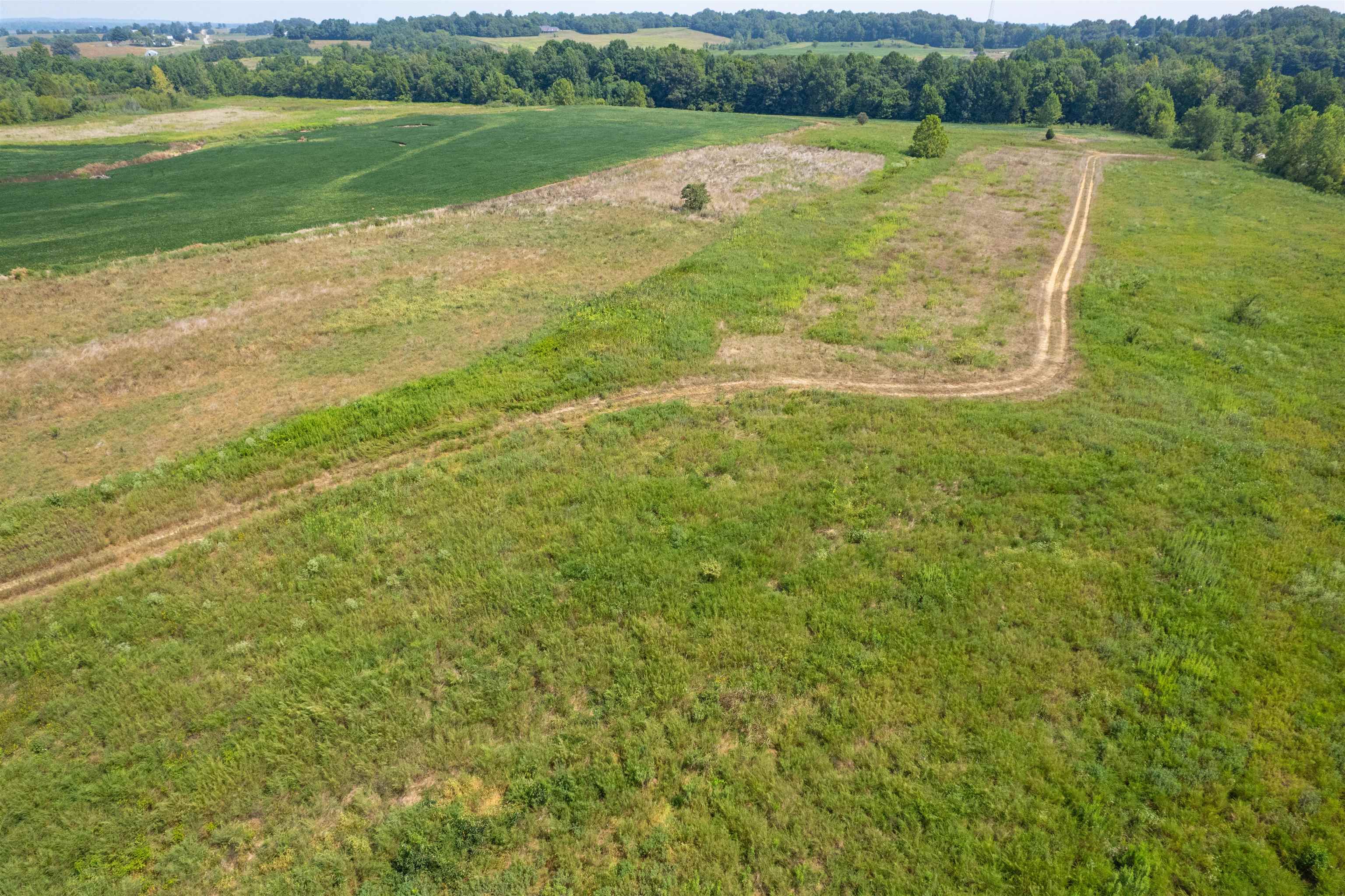 9320 Hobbs Rd., Owensboro, Kentucky 42301, ,Land,For Sale,Hobbs Rd.,92828