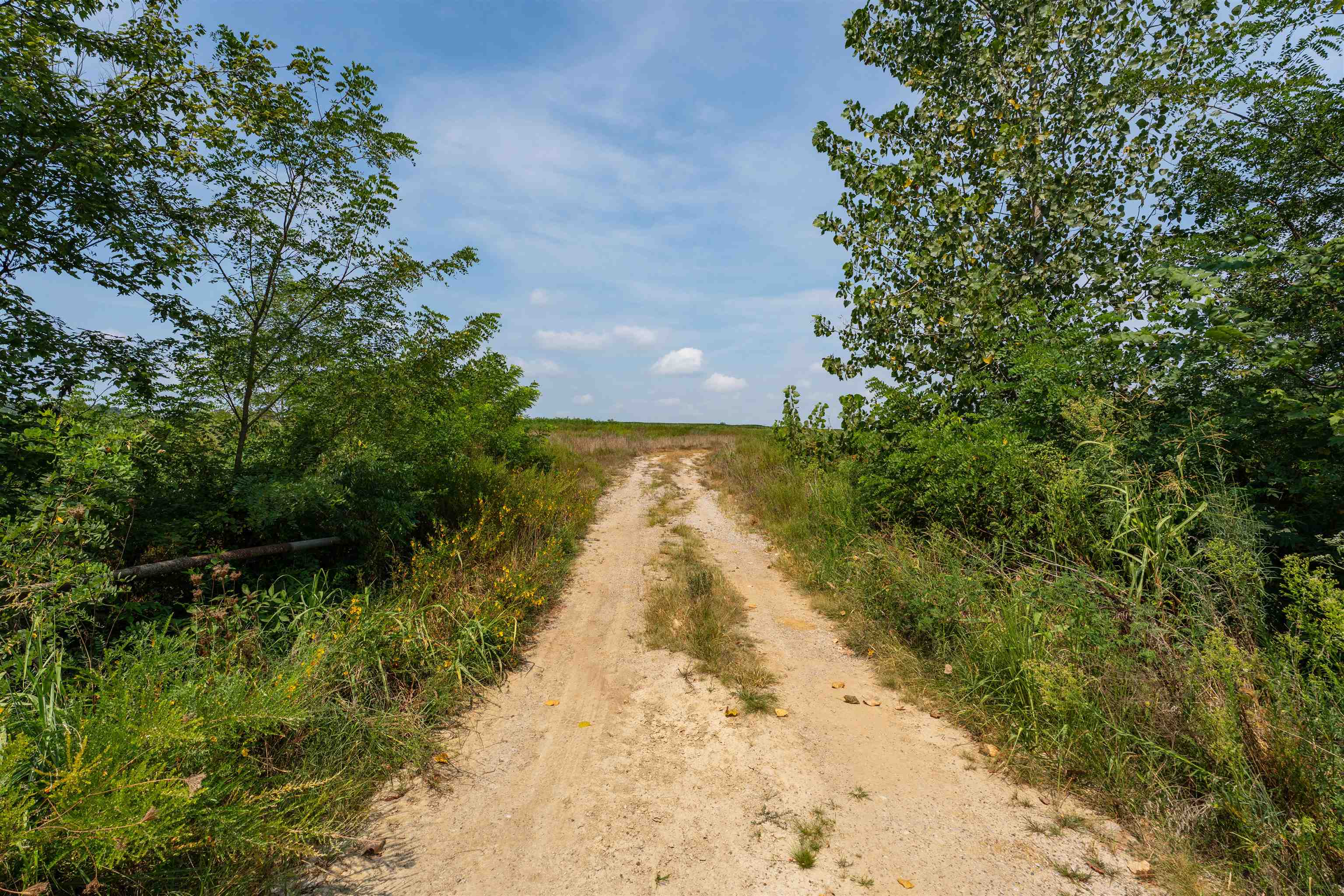 9320 Hobbs Rd., Owensboro, Kentucky 42301, ,Land,For Sale,Hobbs Rd.,92828