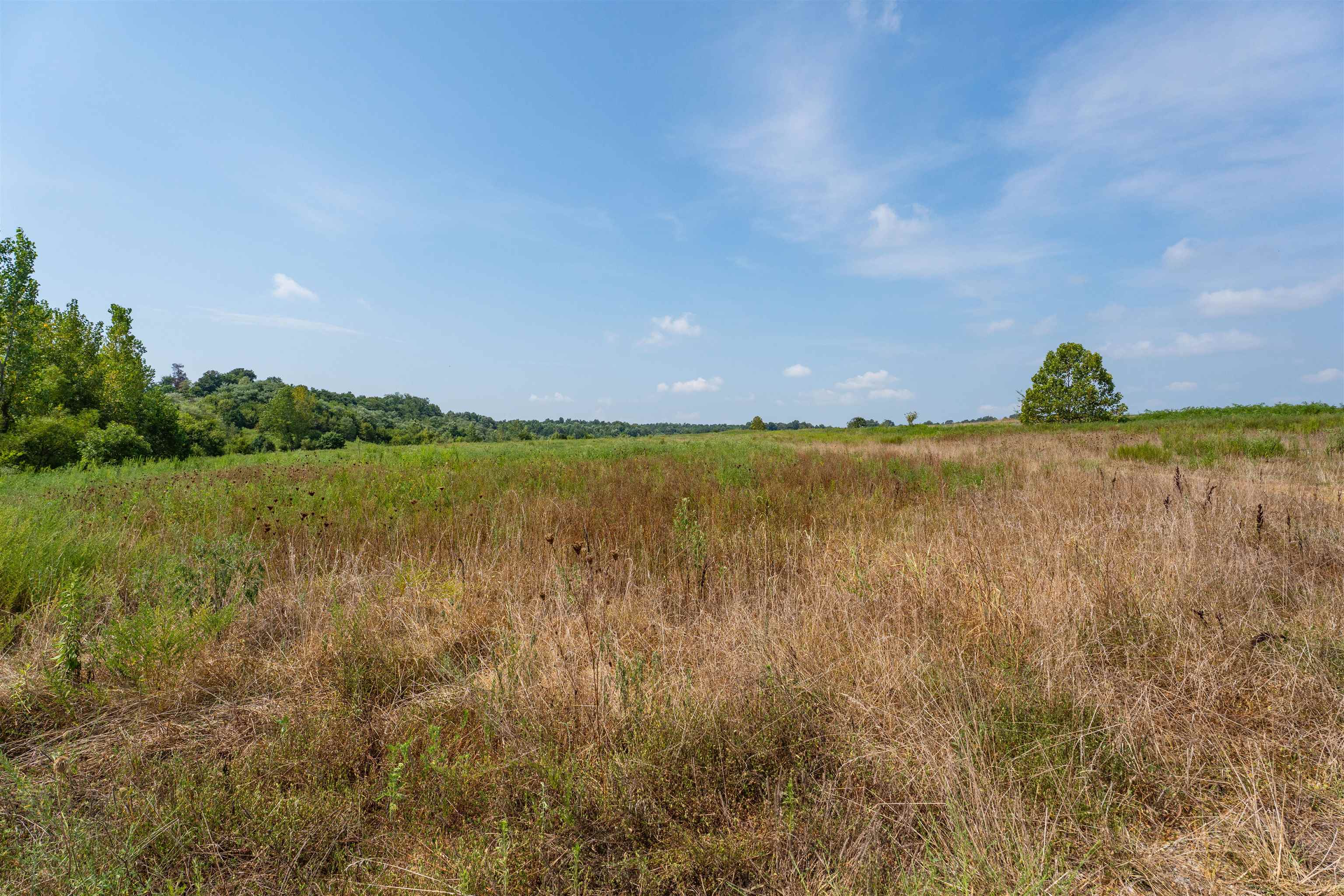 9320 Hobbs Rd., Owensboro, Kentucky 42301, ,Land,For Sale,Hobbs Rd.,92828