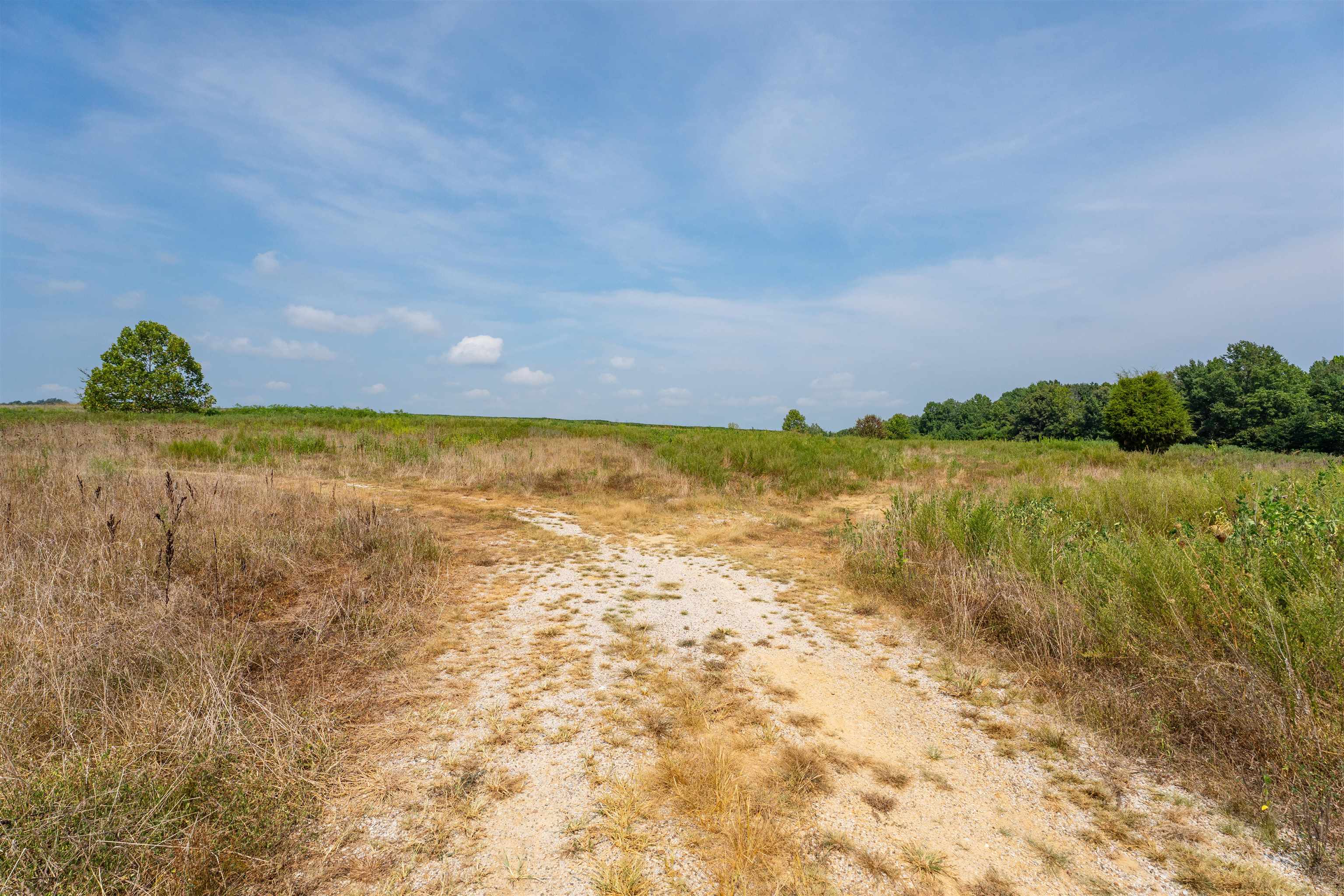 9320 Hobbs Rd., Owensboro, Kentucky 42301, ,Land,For Sale,Hobbs Rd.,92828