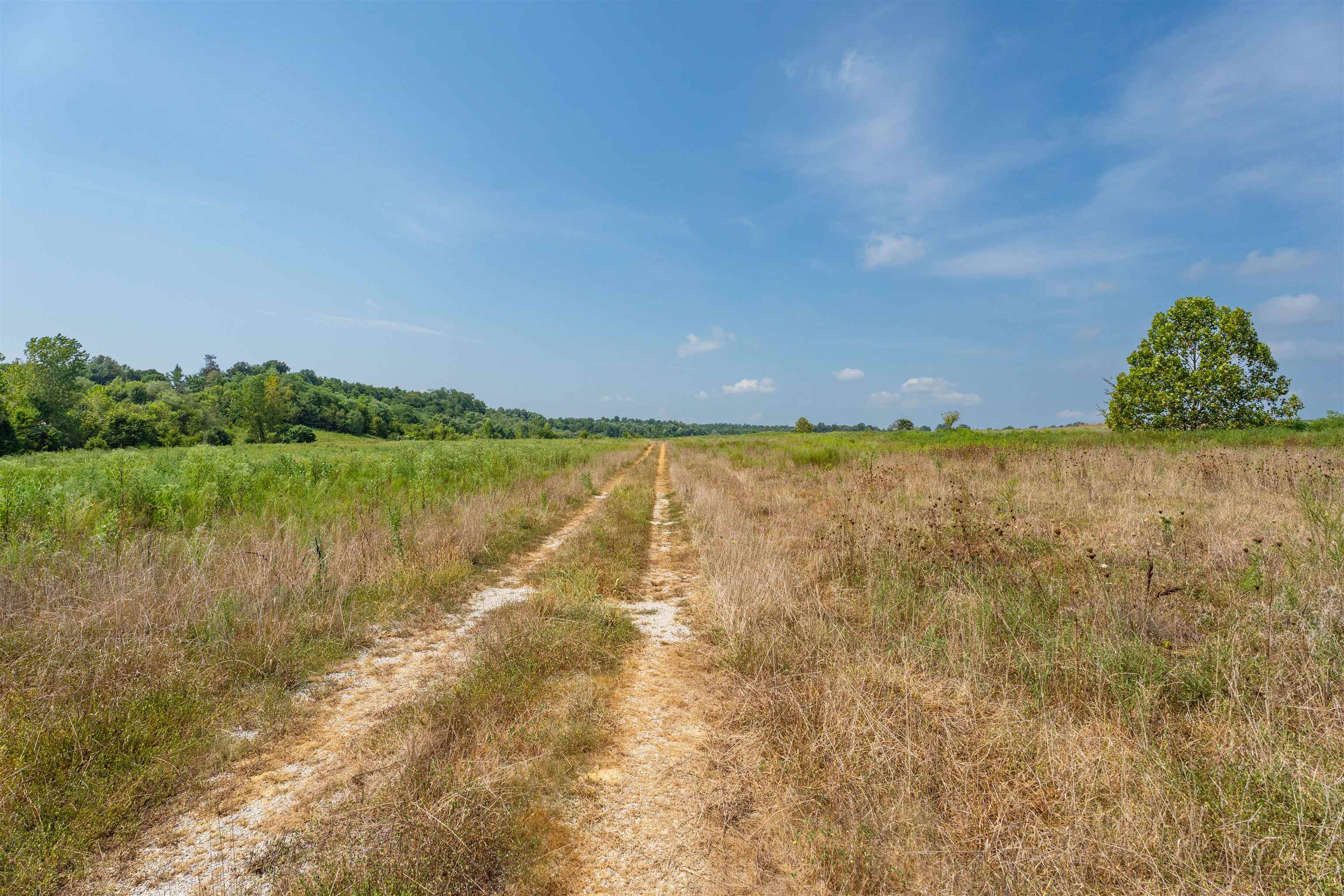9320 Hobbs Rd., Owensboro, Kentucky 42301, ,Land,For Sale,Hobbs Rd.,92828