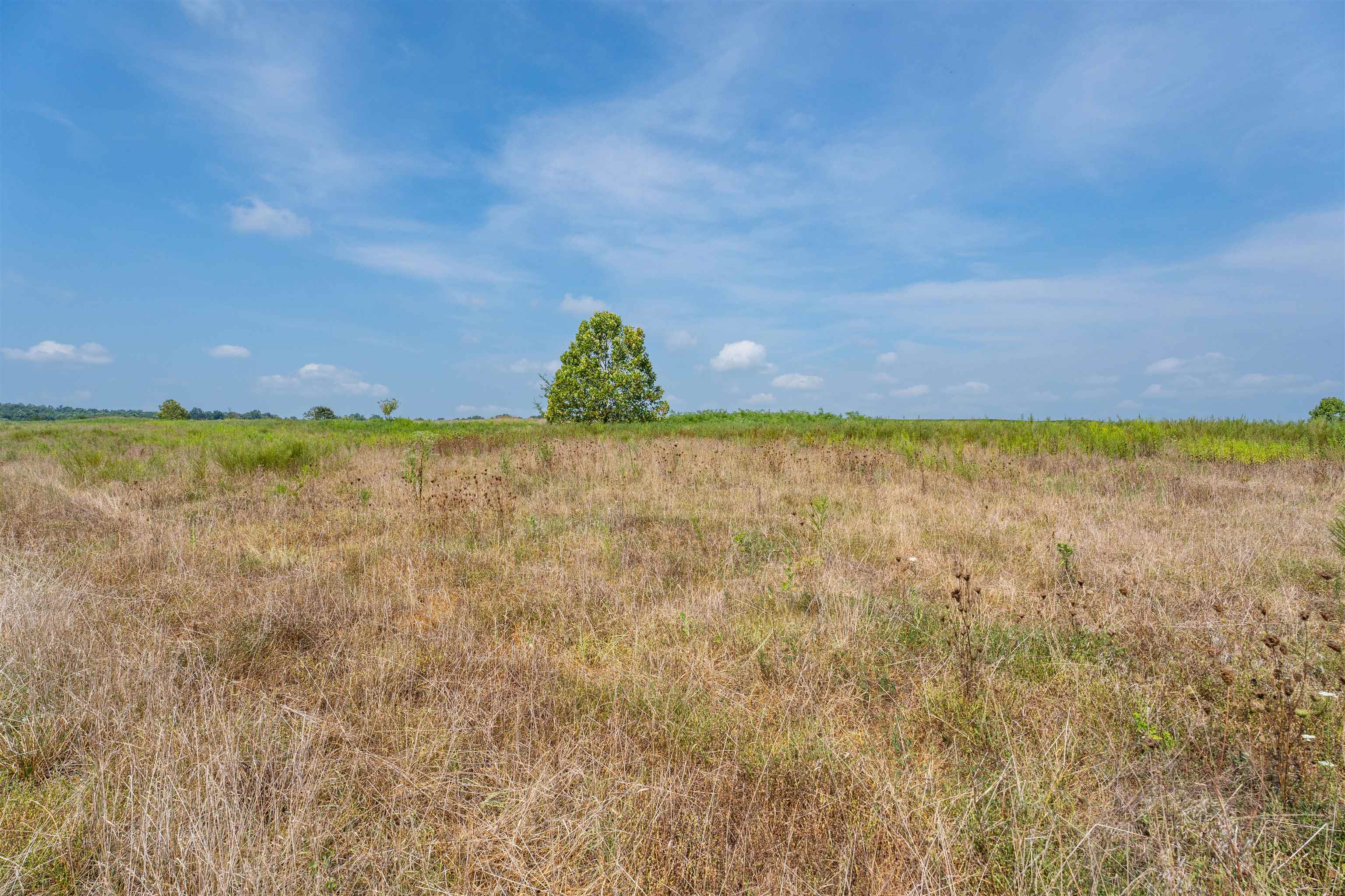 9320 Hobbs Rd., Owensboro, Kentucky 42301, ,Land,For Sale,Hobbs Rd.,92828