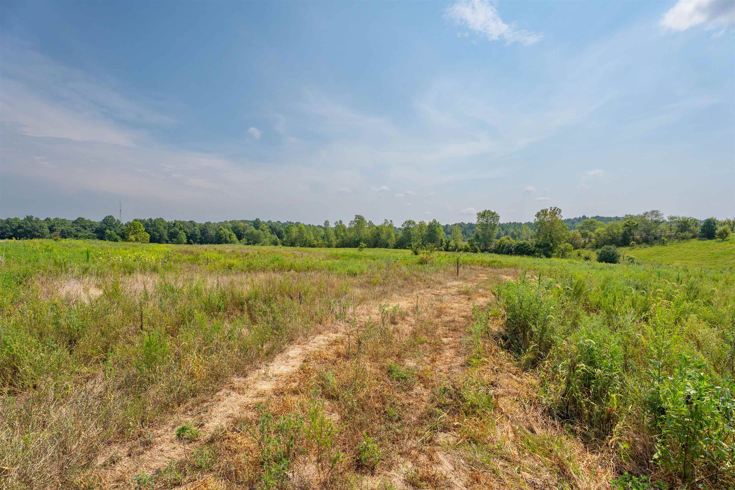 9320 Hobbs Rd., Owensboro, Kentucky 42301, ,Land,For Sale,Hobbs Rd.,92828