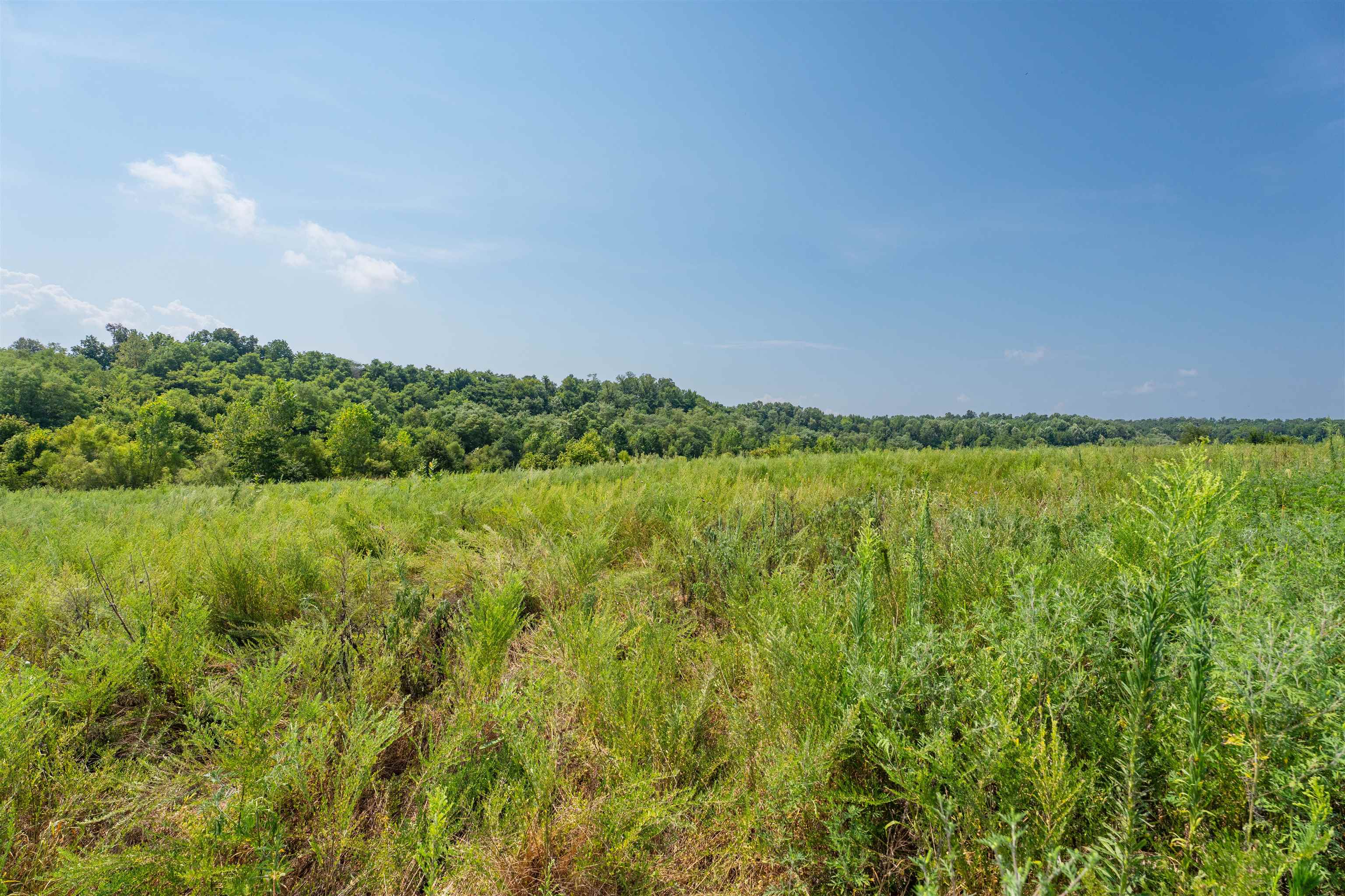 9320 Hobbs Rd., Owensboro, Kentucky 42301, ,Land,For Sale,Hobbs Rd.,92828
