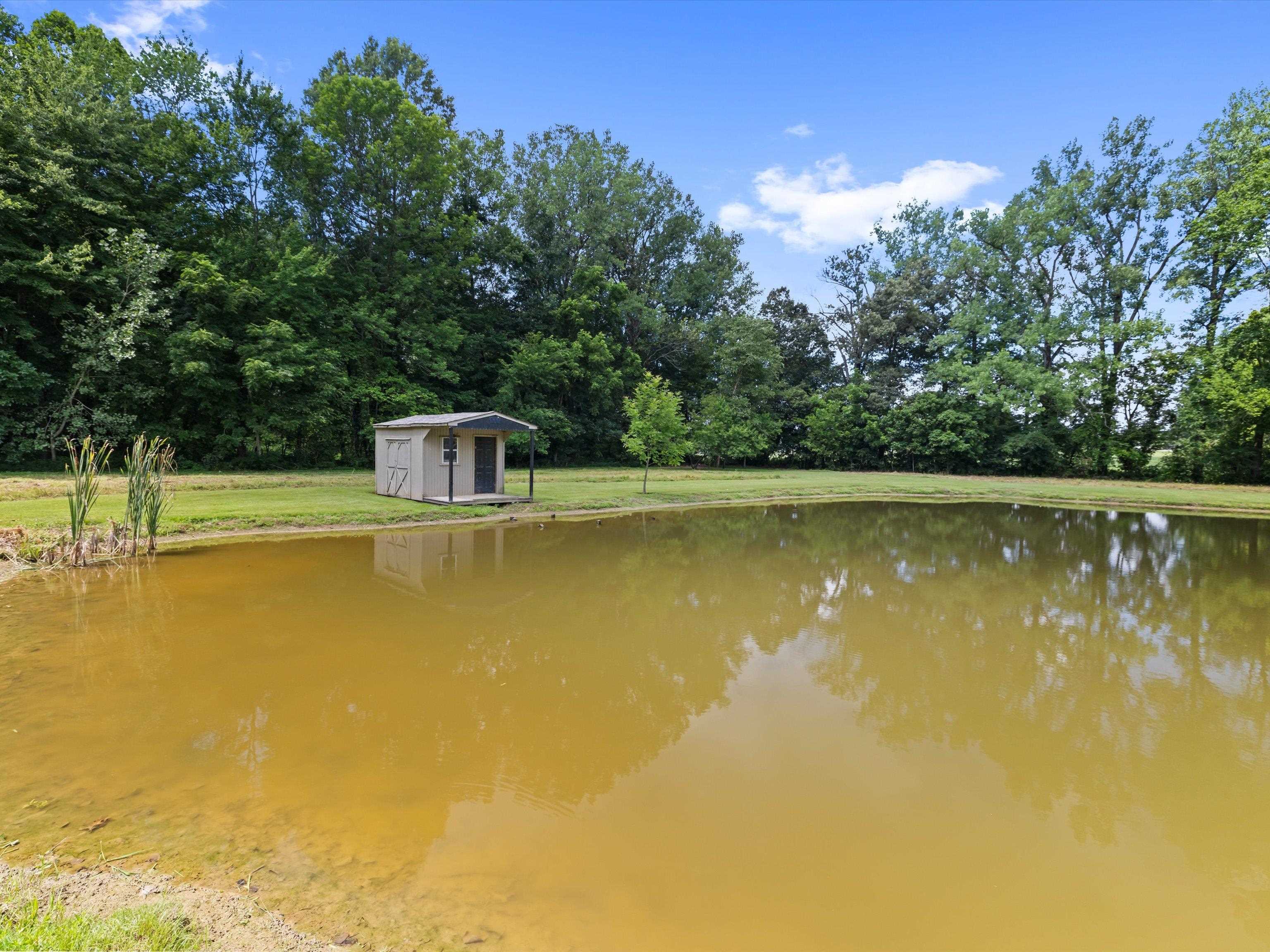 5045 Jack Hinton Rd, Philpot, Kentucky 42366, 3 Bedrooms Bedrooms, ,2 BathroomsBathrooms,Single Family Residence,For Sale,Jack Hinton Rd,92835