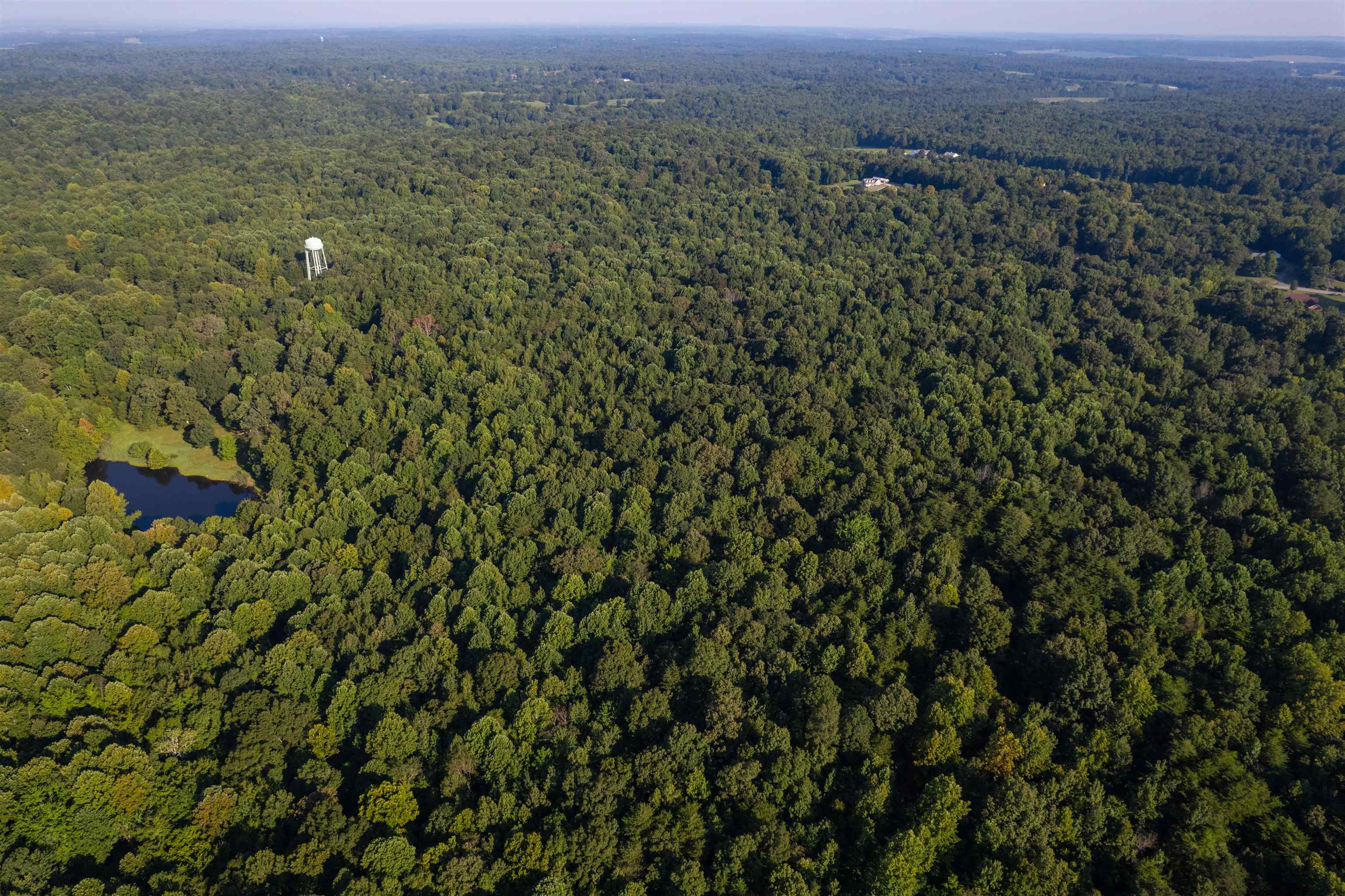 00000 Shakerag Rd., Hanson, Kentucky 42431, ,Land,For Sale,Shakerag Rd.,92851