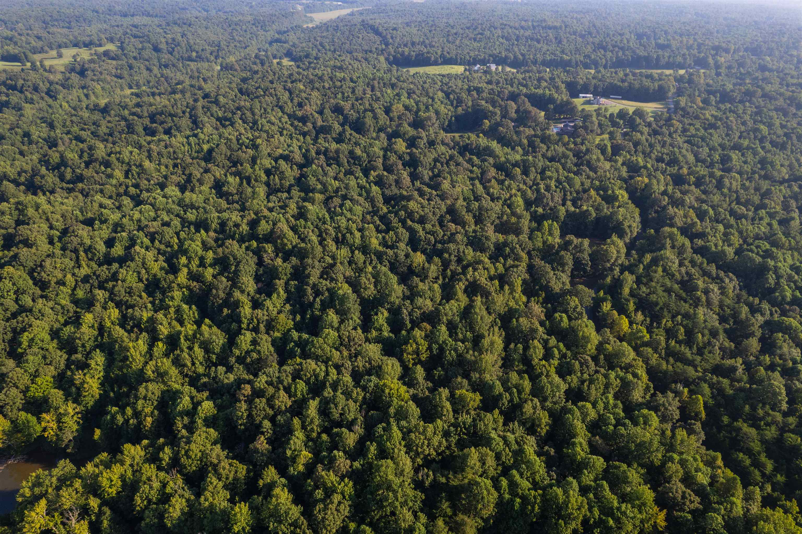 00000 Shakerag Rd., Hanson, Kentucky 42431, ,Land,For Sale,Shakerag Rd.,92851