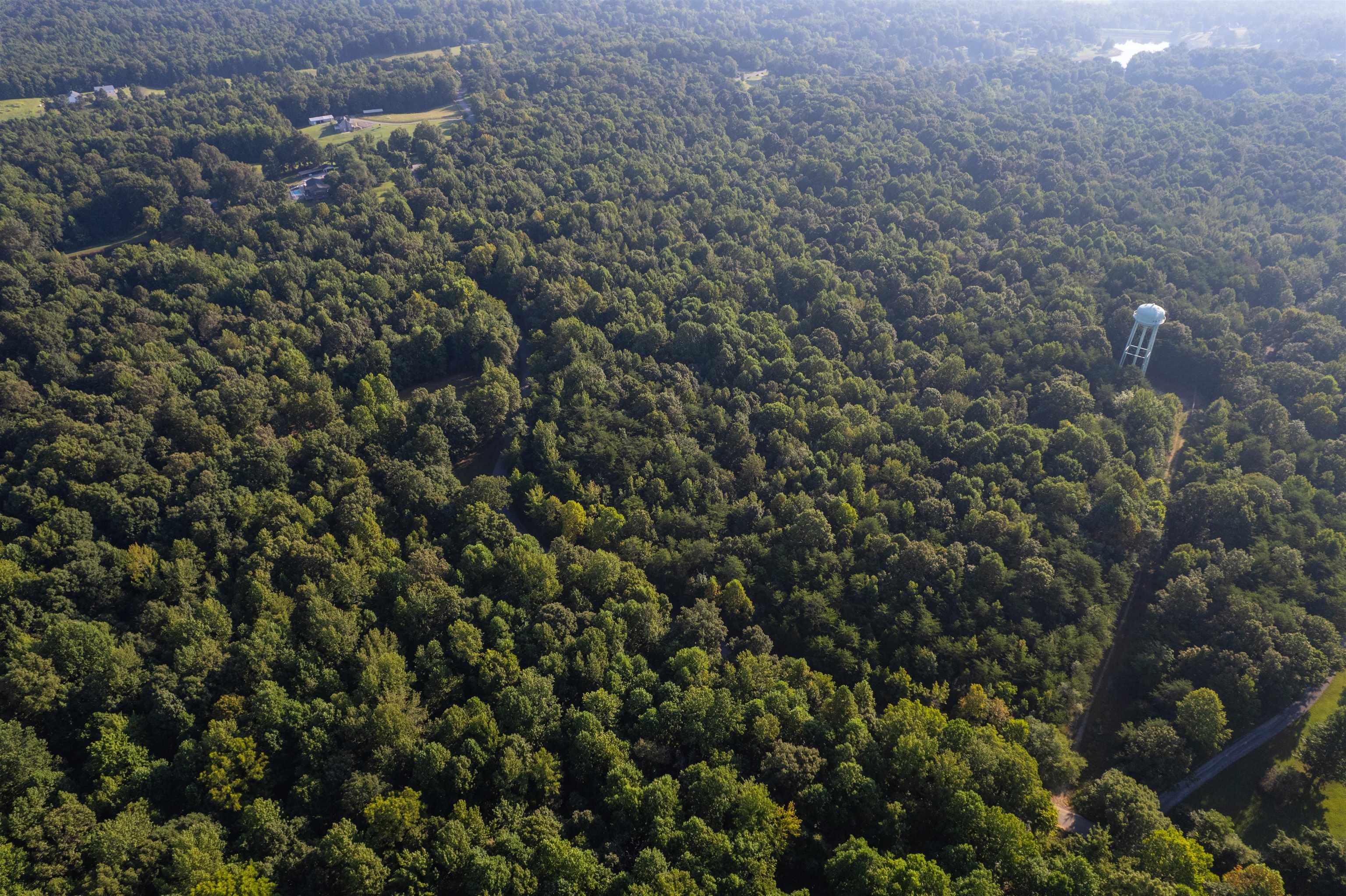 00000 Shakerag Rd., Hanson, Kentucky 42431, ,Land,For Sale,Shakerag Rd.,92851