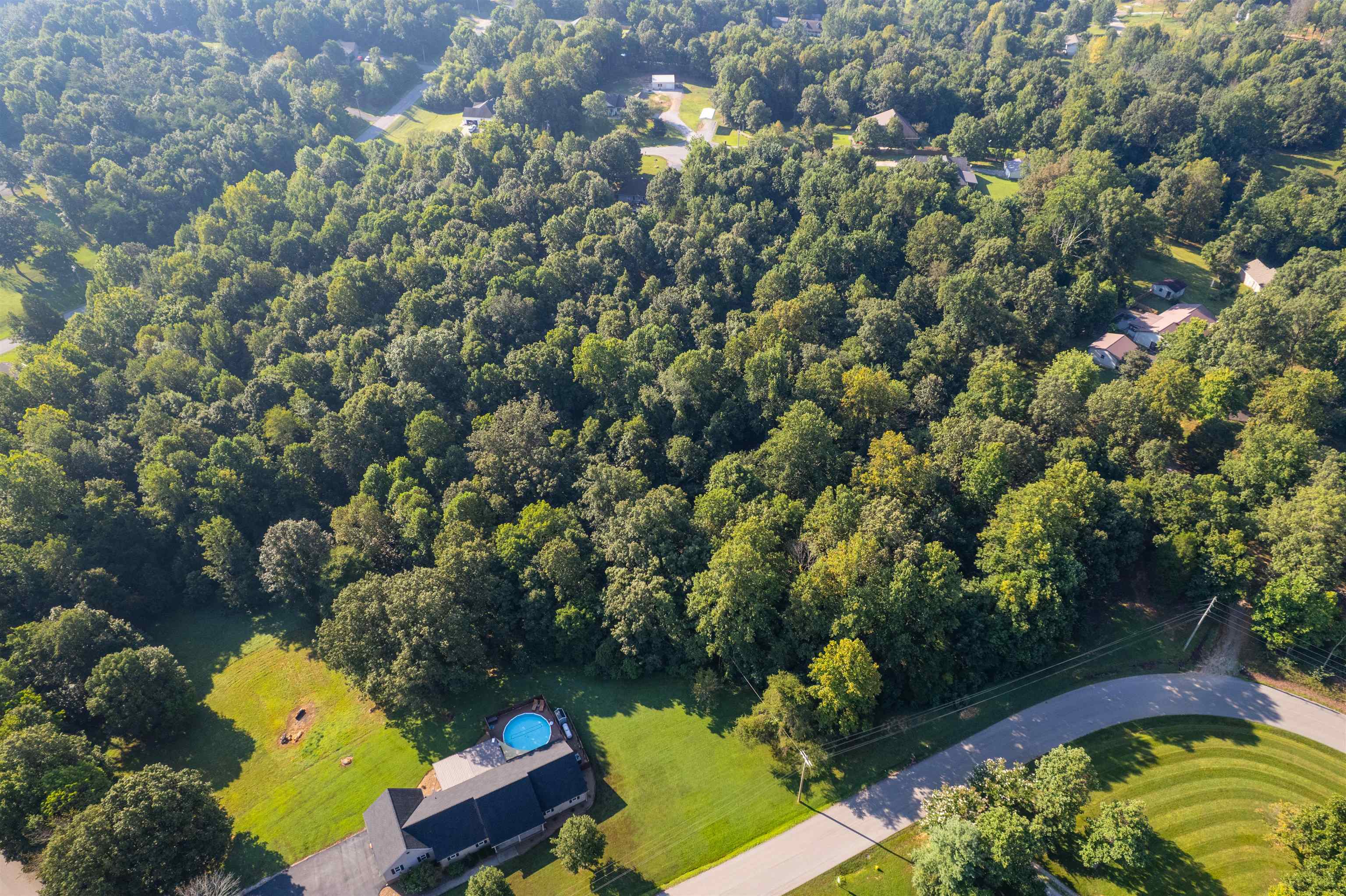 0 Otter Lake Loop - MAP OTTR-1-4-2, Hanson, Kentucky 42413, ,Land,For Sale,Otter Lake Loop - MAP OTTR-1-4-2,92852
