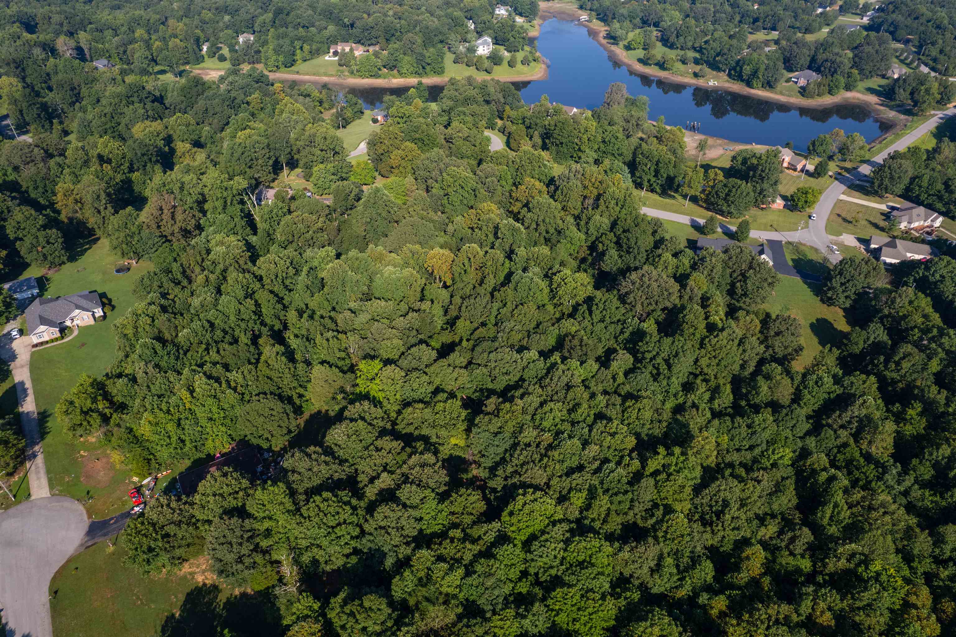 0 Otter Lake Loop - MAP OTTR-1-4-2, Hanson, Kentucky 42413, ,Land,For Sale,Otter Lake Loop - MAP OTTR-1-4-2,92852