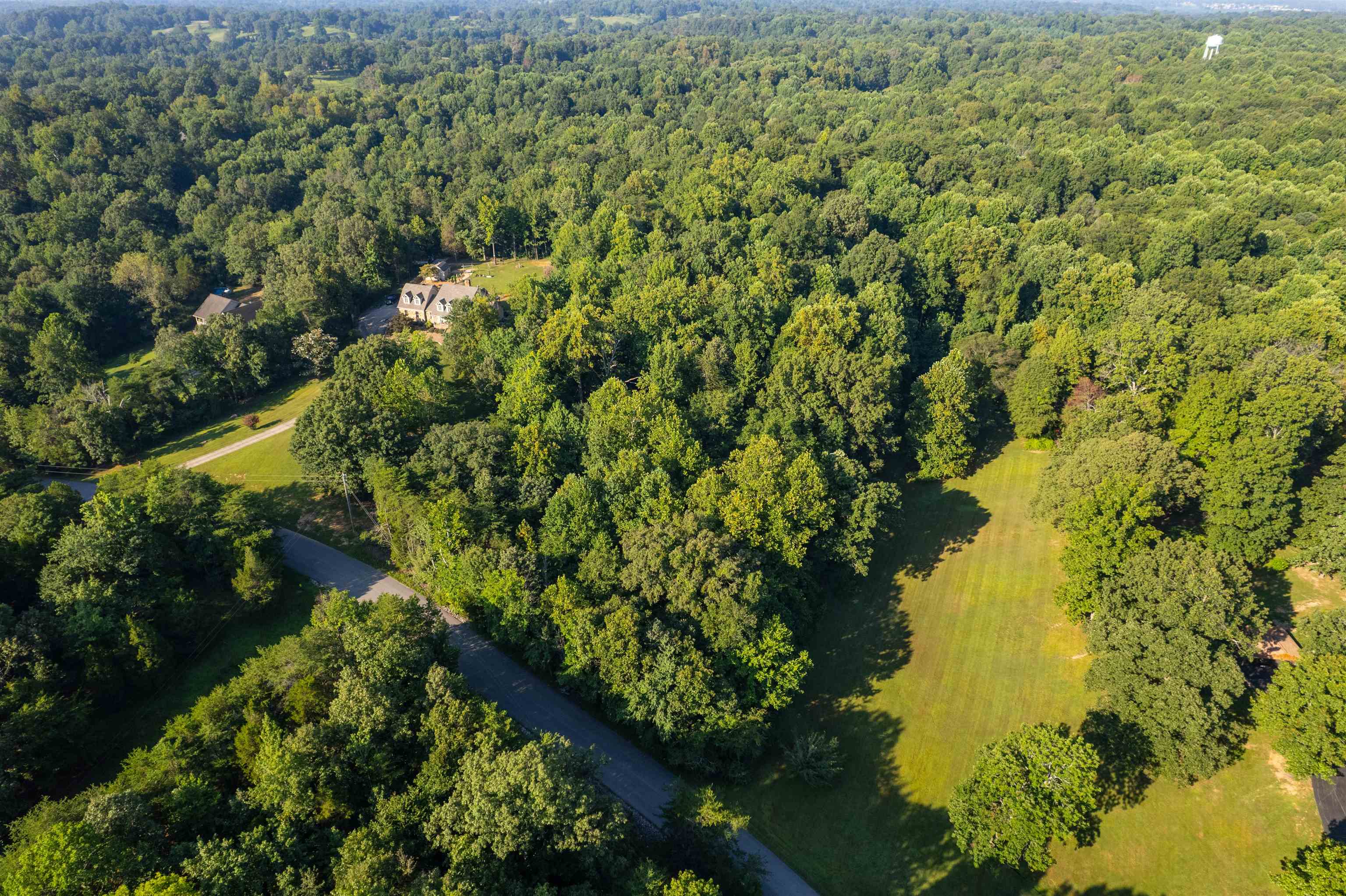 0 Otter Lake Loop - MAP OTTR-1-1-19, Hanson, Kentucky 42431, ,Land,For Sale,Otter Lake Loop - MAP OTTR-1-1-19,92853