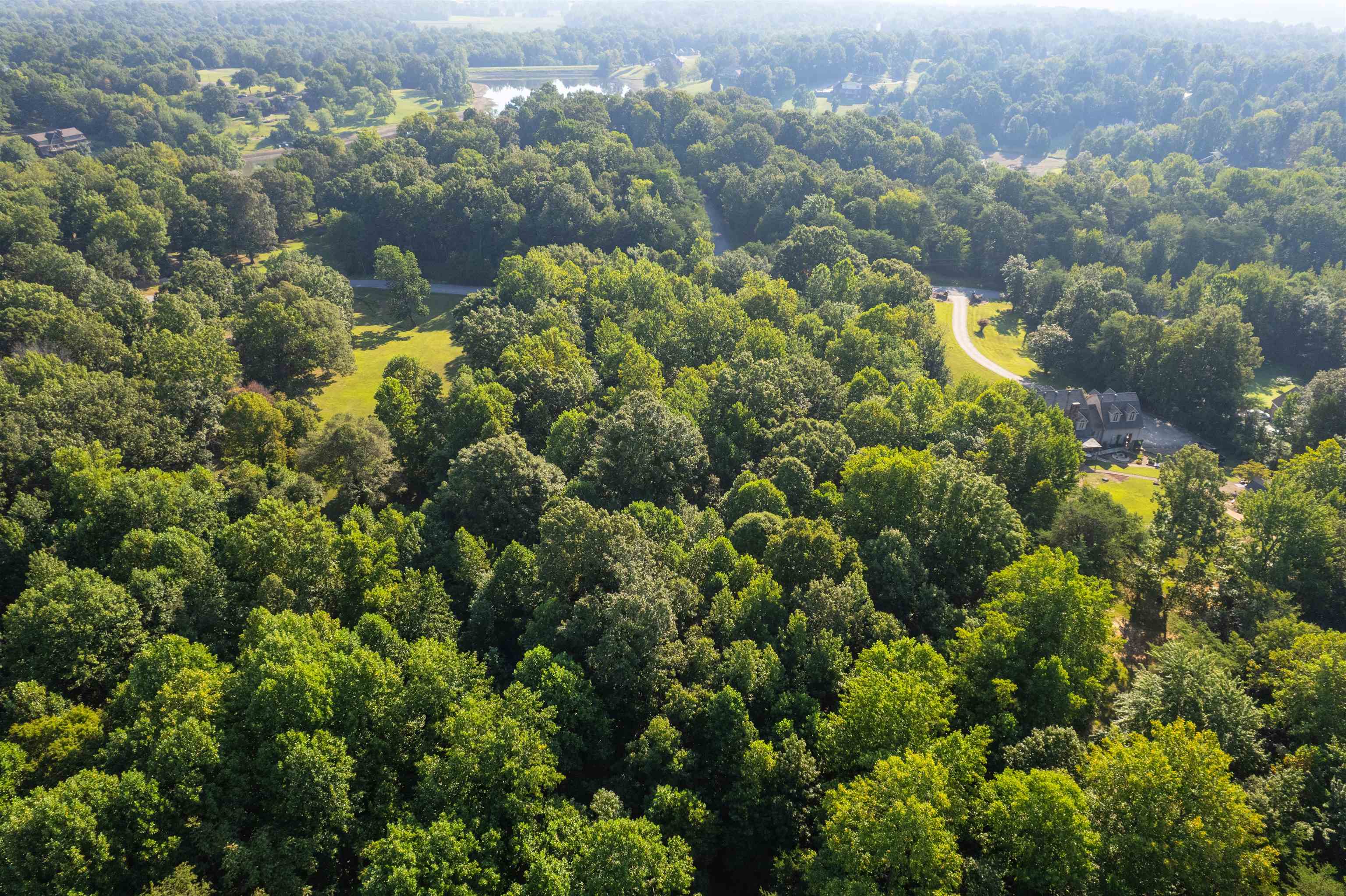 0 Otter Lake Loop - MAP OTTR-1-1-19, Hanson, Kentucky 42431, ,Land,For Sale,Otter Lake Loop - MAP OTTR-1-1-19,92853