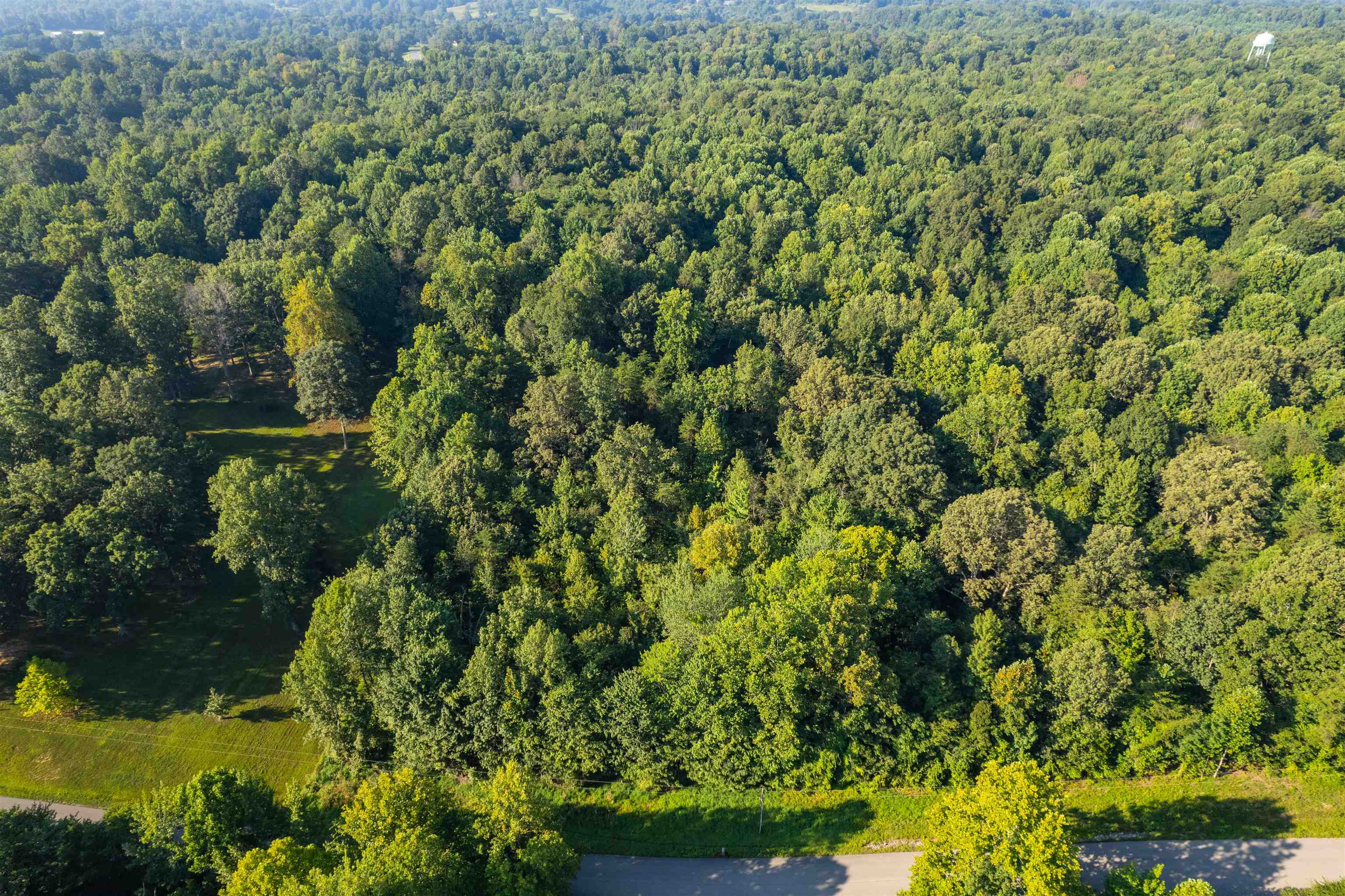 0 Otter Lake Loop - MAP OTTR-1-1-15, Hanson, Kentucky 42431, ,Land,For Sale,Otter Lake Loop - MAP OTTR-1-1-15,92854