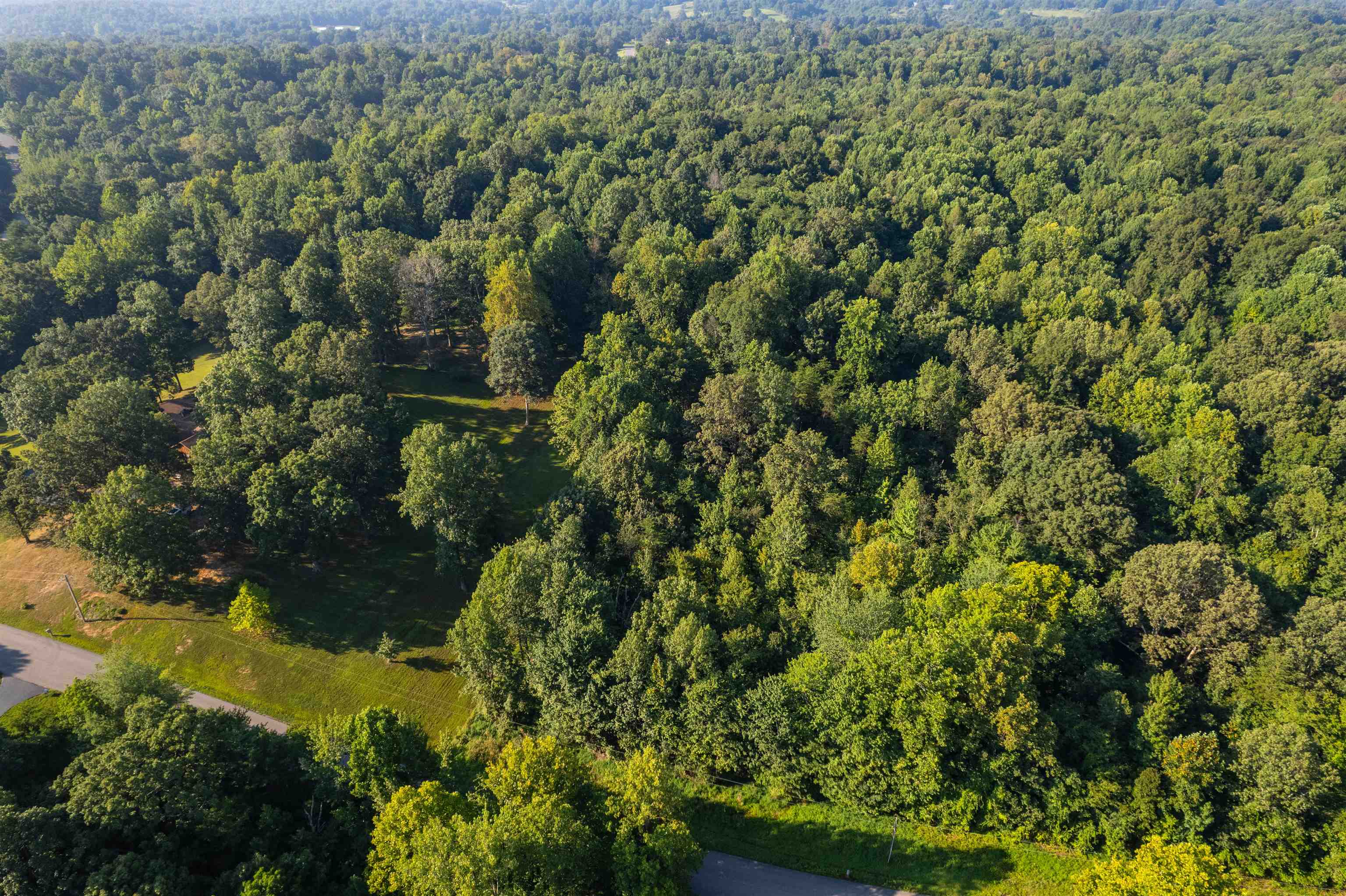0 Otter Lake Loop - MAP OTTR-1-1-15, Hanson, Kentucky 42431, ,Land,For Sale,Otter Lake Loop - MAP OTTR-1-1-15,92854