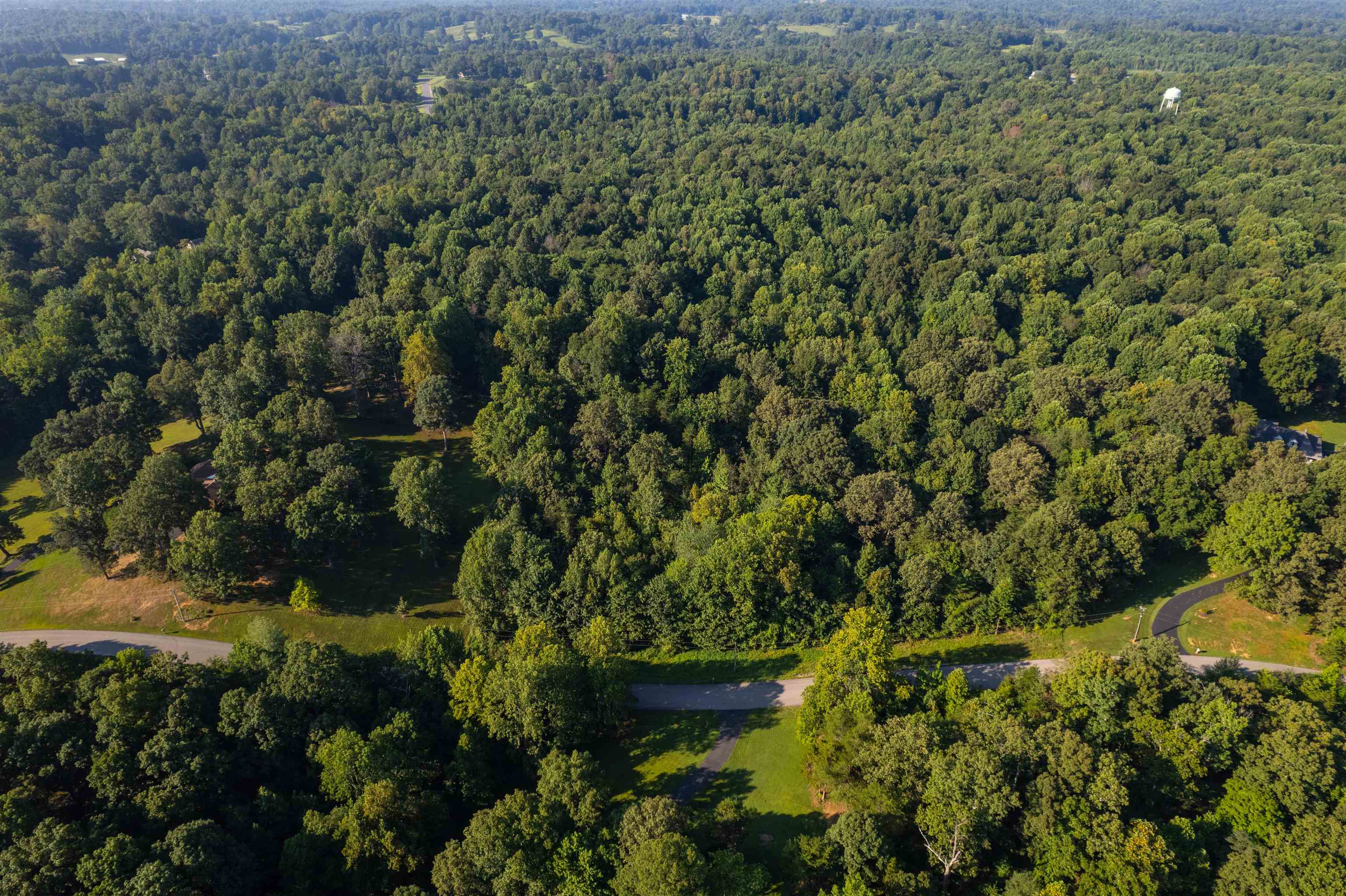 0 Otter Lake Loop - MAP OTTR-1-1-15, Hanson, Kentucky 42431, ,Land,For Sale,Otter Lake Loop - MAP OTTR-1-1-15,92854