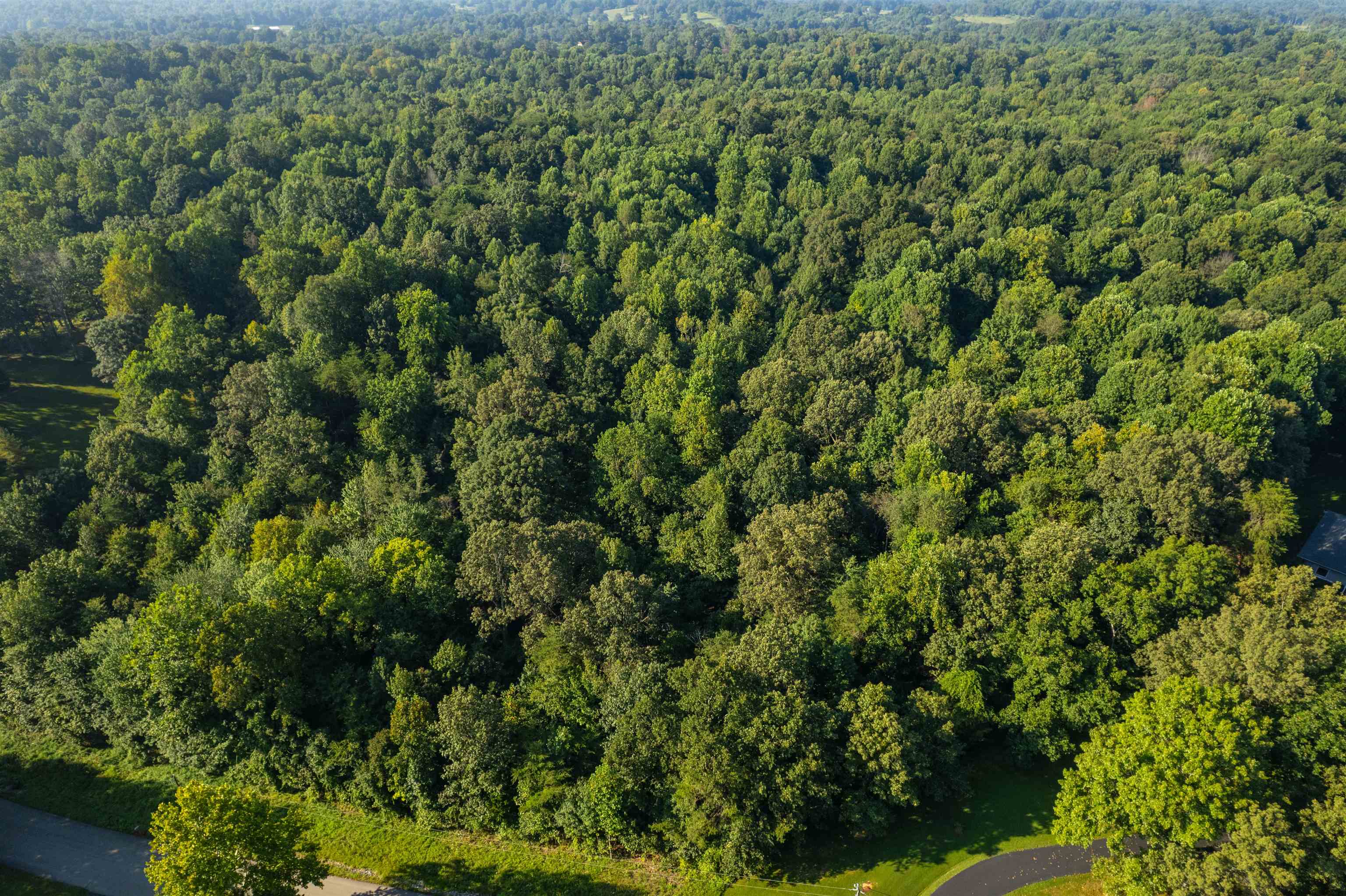 0 Otter Lake Loop - MAP OTTR-1-1-14, Hanson, Kentucky 42431, ,Land,For Sale,Otter Lake Loop - MAP OTTR-1-1-14,92855