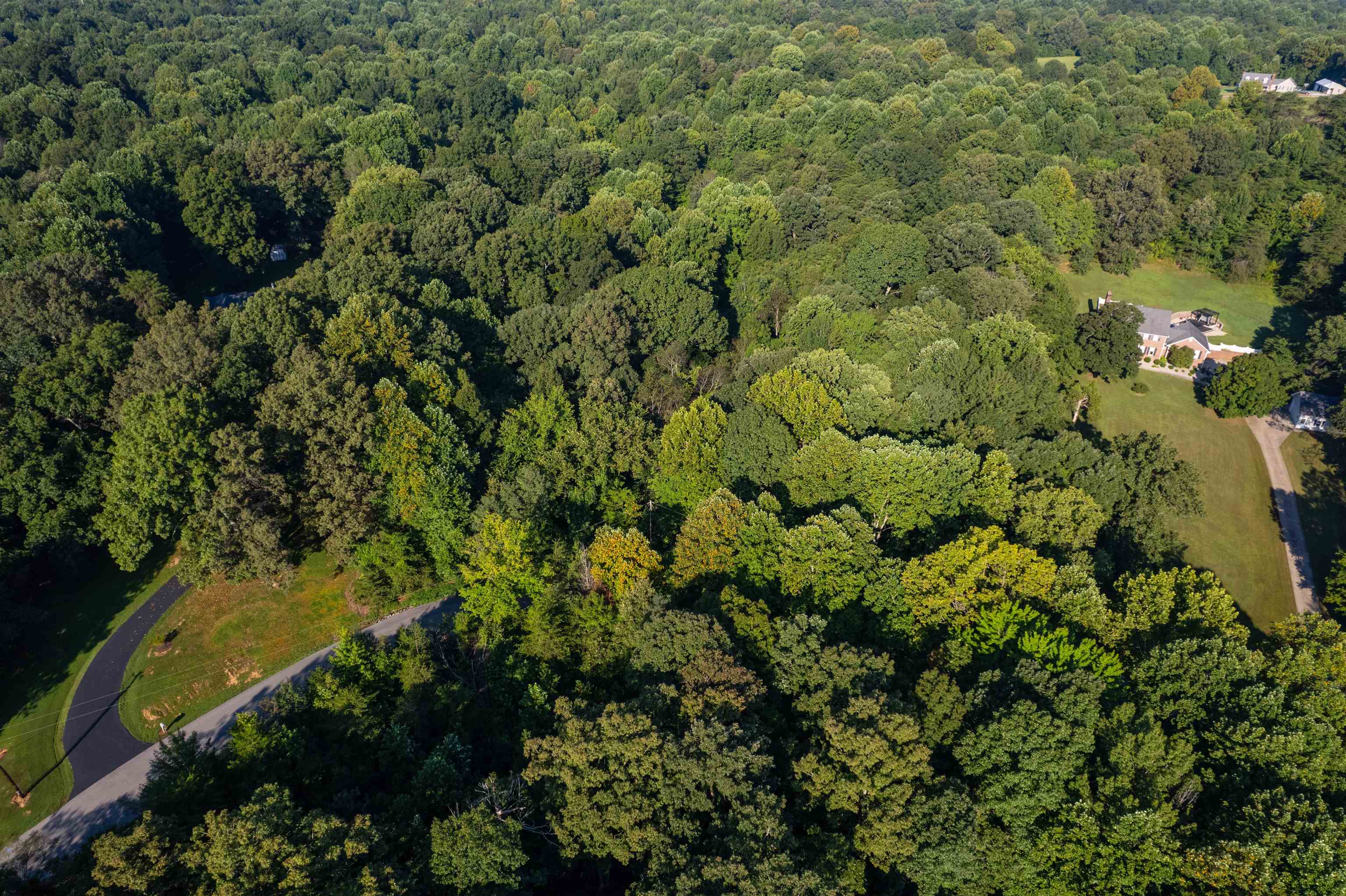 0 Otter Lake Loop - MAP OTTR-1-1-12, Hanson, Kentucky 42431, ,Land,For Sale,Otter Lake Loop - MAP OTTR-1-1-12,92856