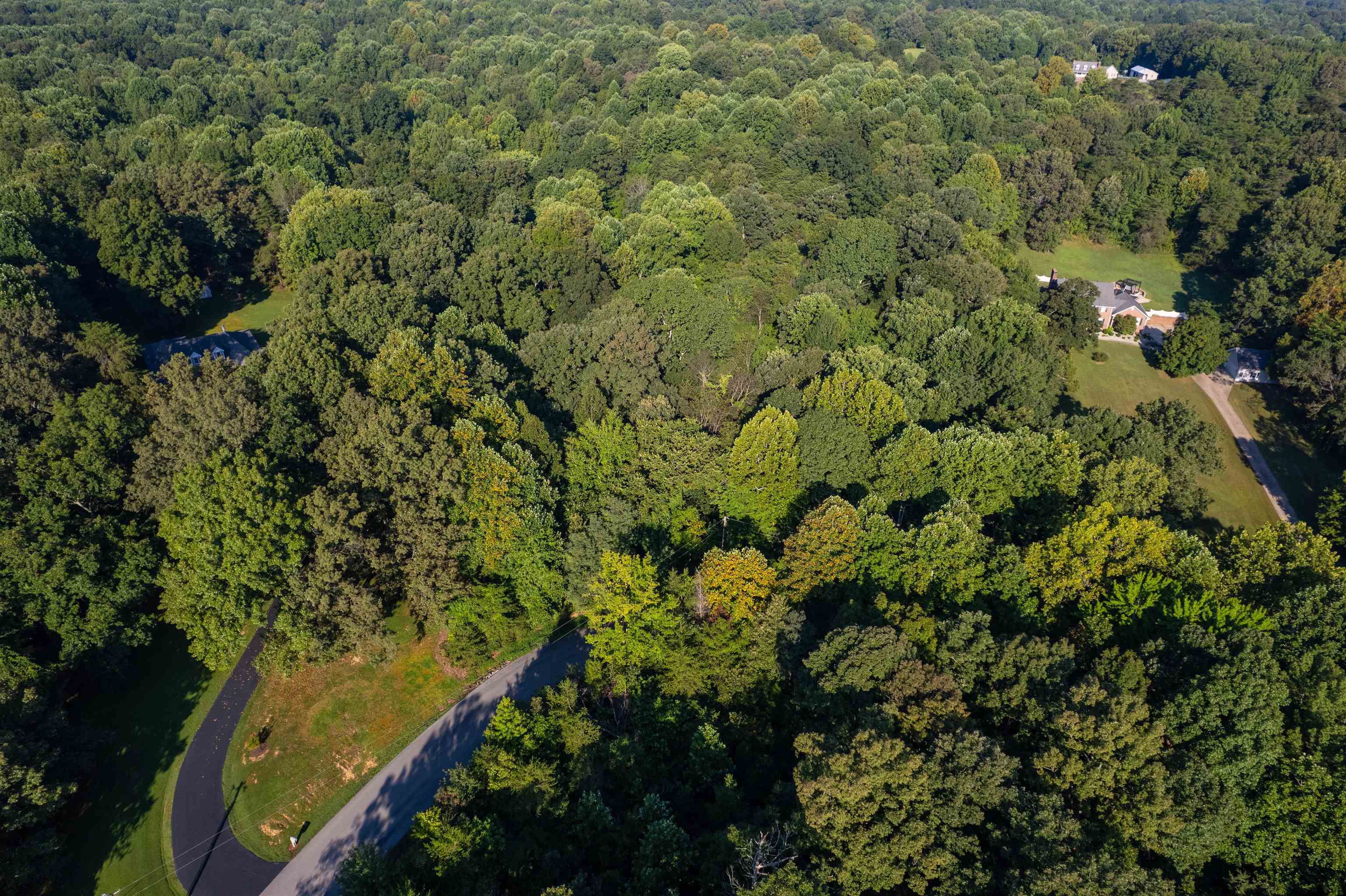 0 Otter Lake Loop - MAP OTTR-1-1-12, Hanson, Kentucky 42431, ,Land,For Sale,Otter Lake Loop - MAP OTTR-1-1-12,92856