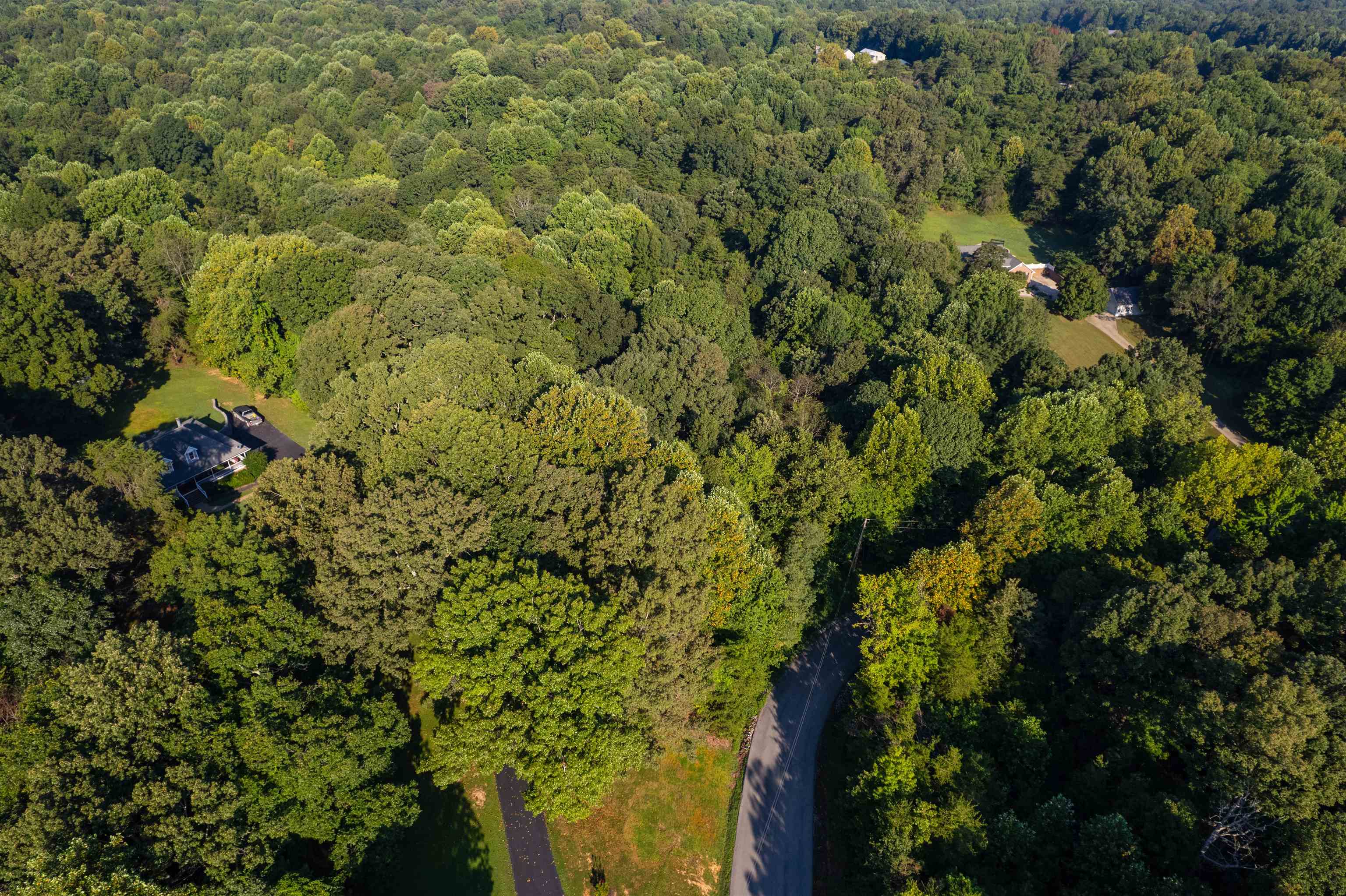 0 Otter Lake Loop - MAP OTTR-1-1-12, Hanson, Kentucky 42431, ,Land,For Sale,Otter Lake Loop - MAP OTTR-1-1-12,92856