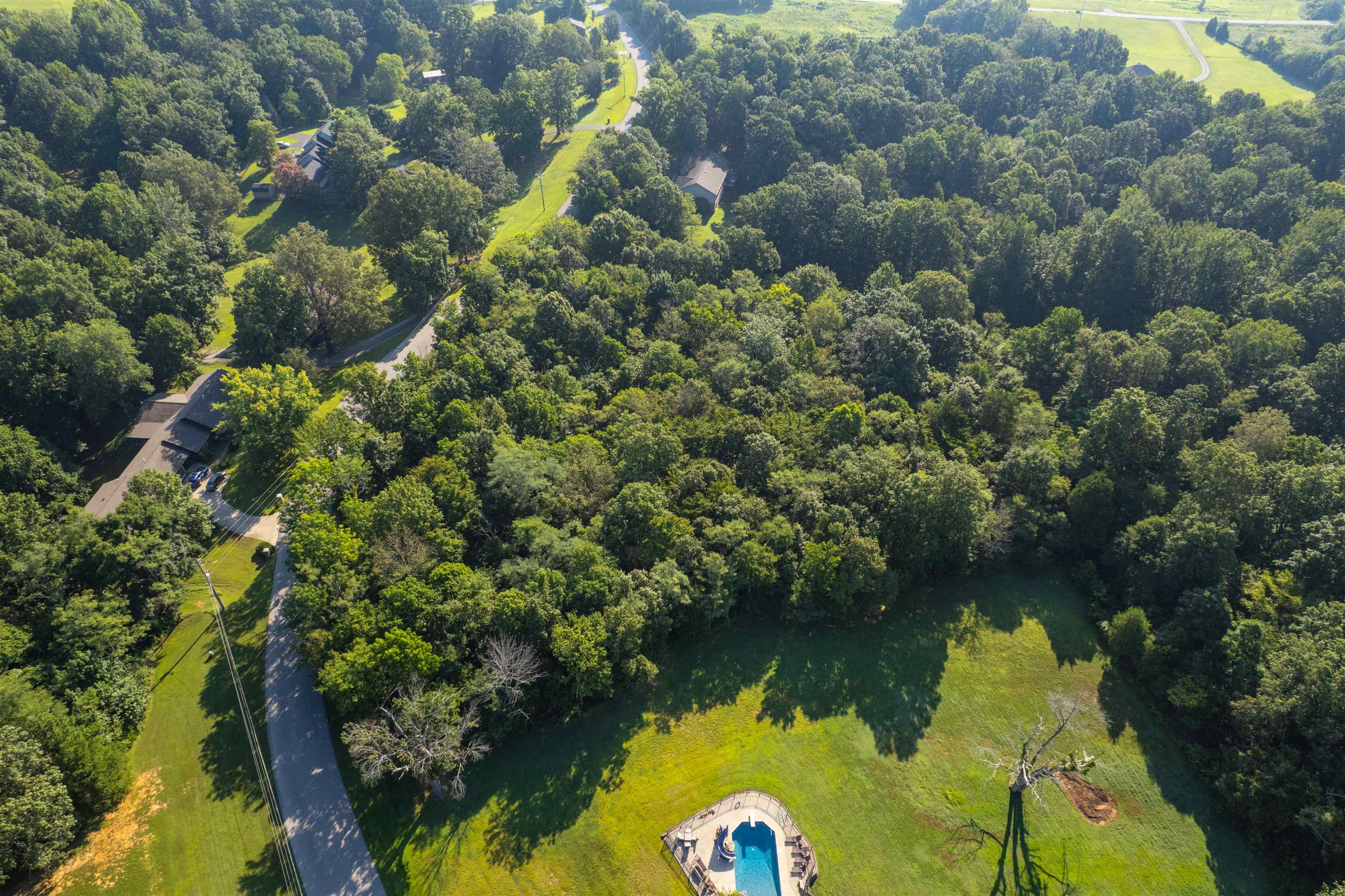0 Otter Lake Loop - MAP-90-3-3, Hanson, Kentucky 42431, ,Land,For Sale,Otter Lake Loop - MAP-90-3-3,92857