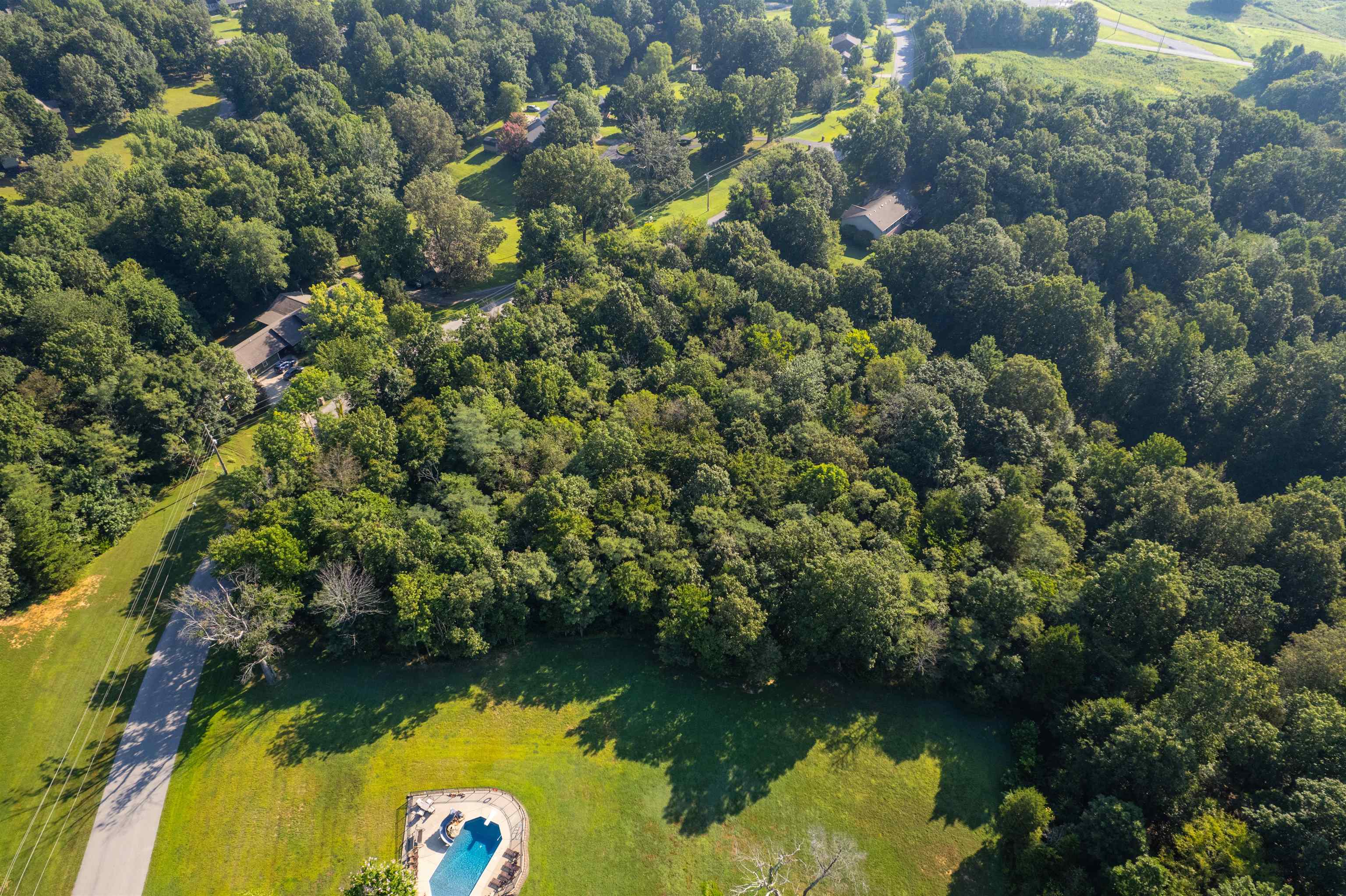 0 Otter Lake Loop - MAP-90-3-3, Hanson, Kentucky 42431, ,Land,For Sale,Otter Lake Loop - MAP-90-3-3,92857
