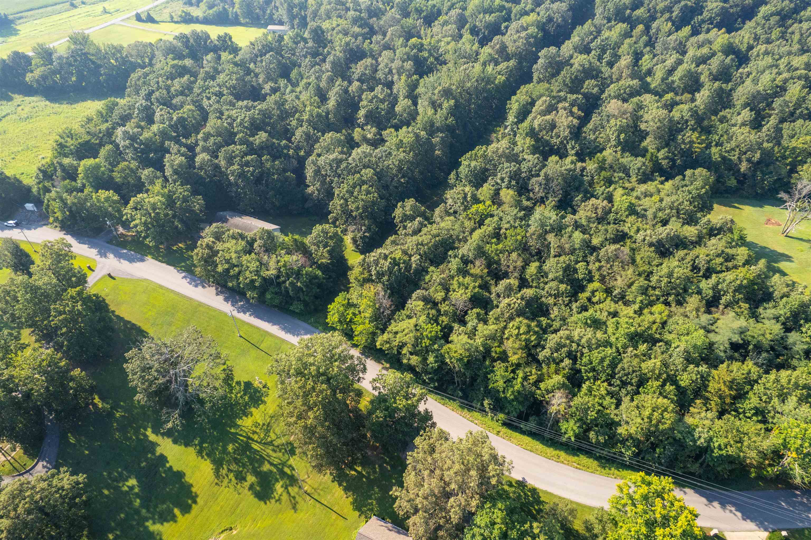 0 Otter Lake Loop - MAP-90-3-2, Hanson, Kentucky 42431, ,Land,For Sale,Otter Lake Loop - MAP-90-3-2,92858