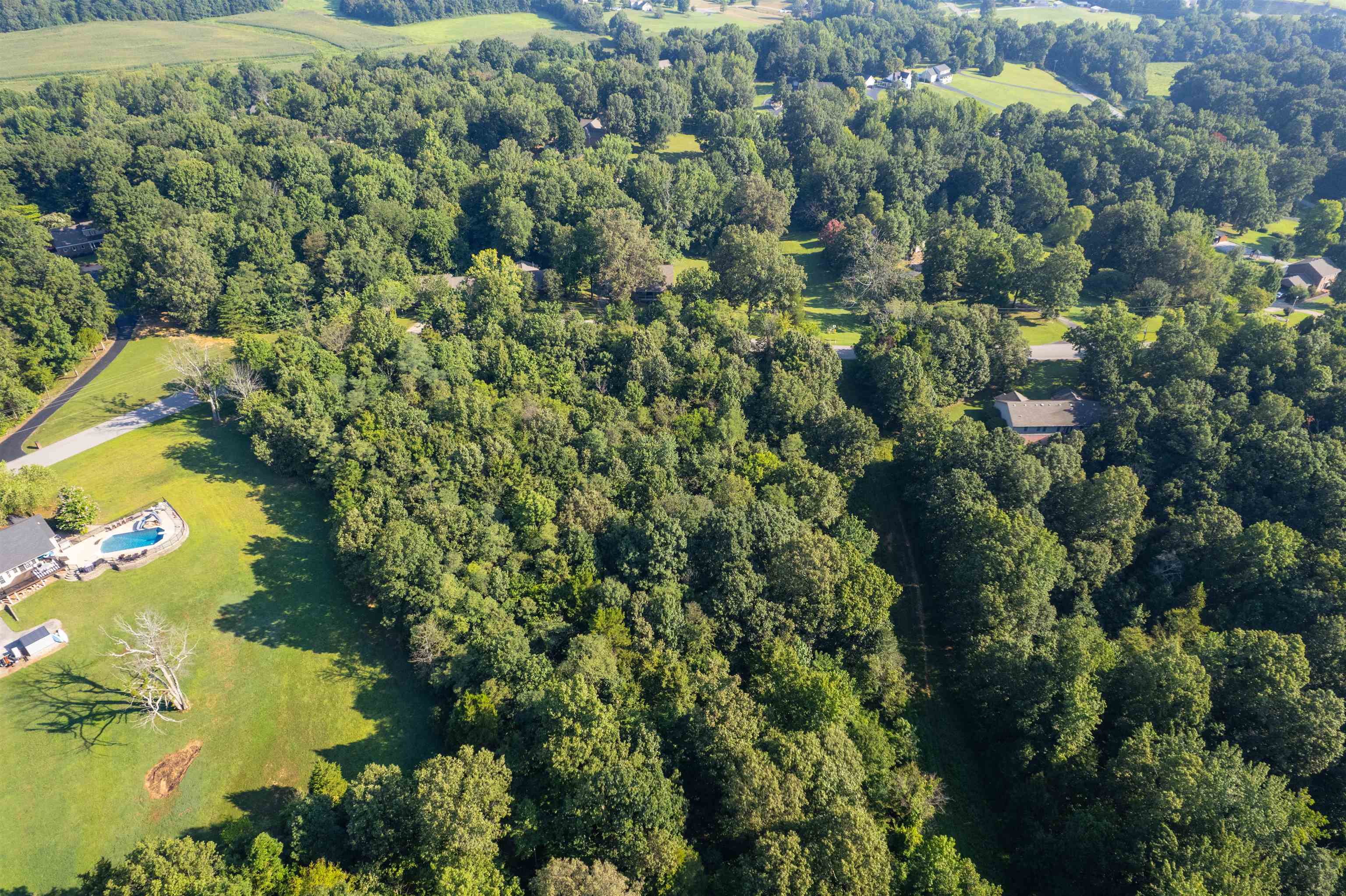 0 Otter Lake Loop - Lots 2 & 3, Hanson, Kentucky 42431, ,Land,For Sale,Otter Lake Loop - Lots 2 & 3,92858