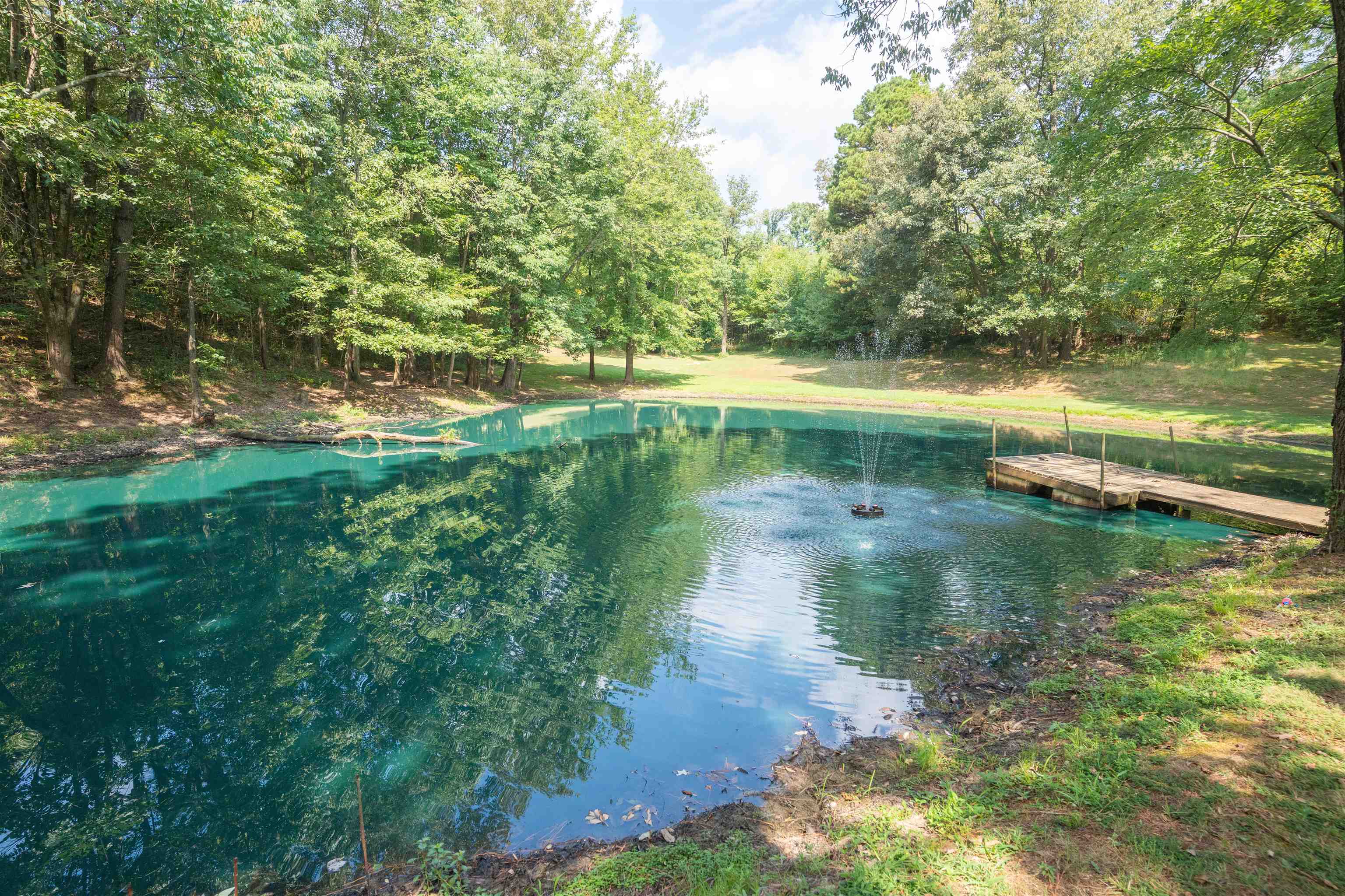 8504 Hwy 81, Daviess Co, Kentucky 42301, 2 Bedrooms Bedrooms, ,2 BathroomsBathrooms,Single Family Residence,For Sale,Hwy 81,92863