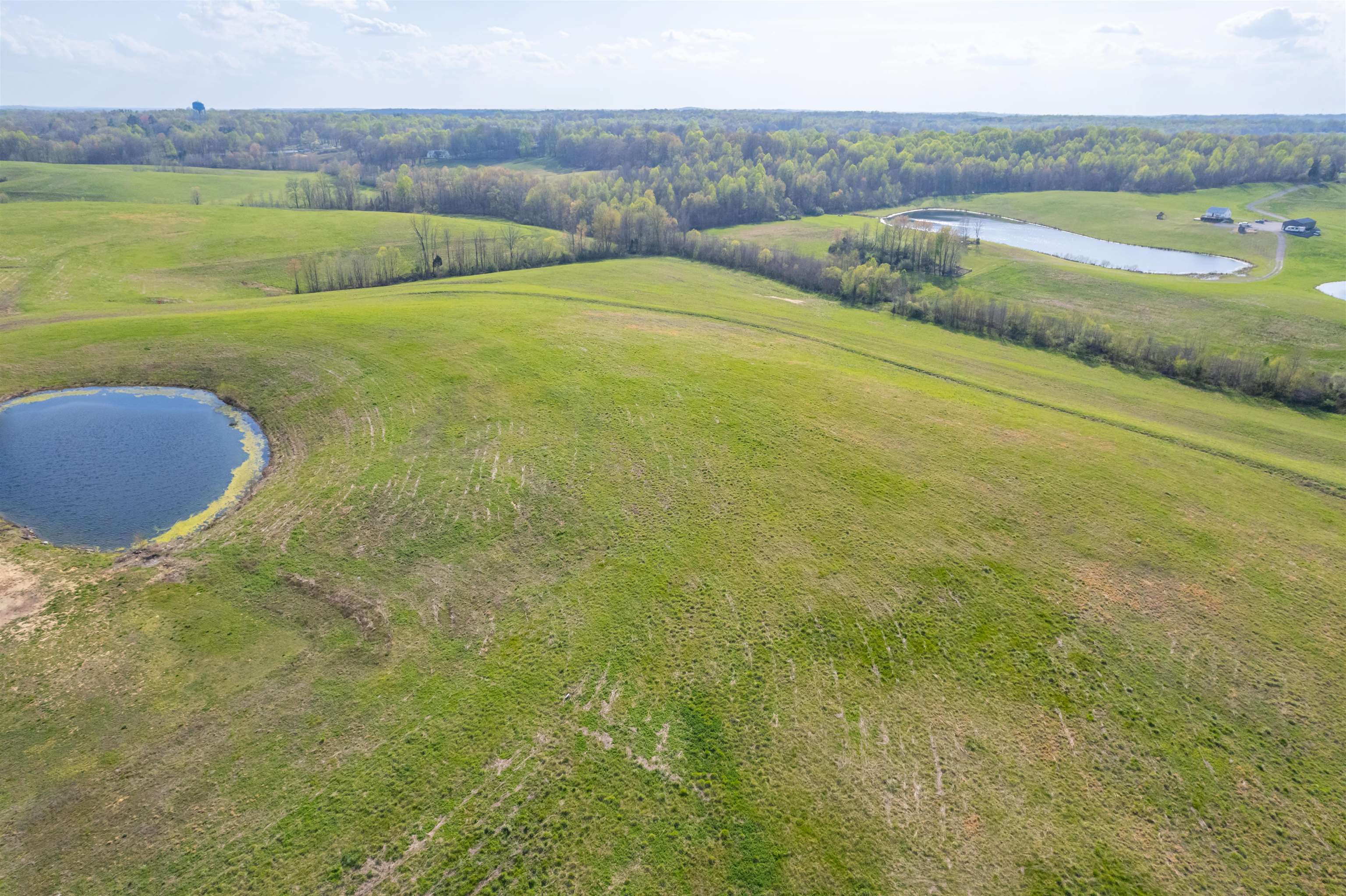 4680 Free Silver Road, Philpot, Kentucky 42366, ,Land,For Sale,Free Silver Road,92871