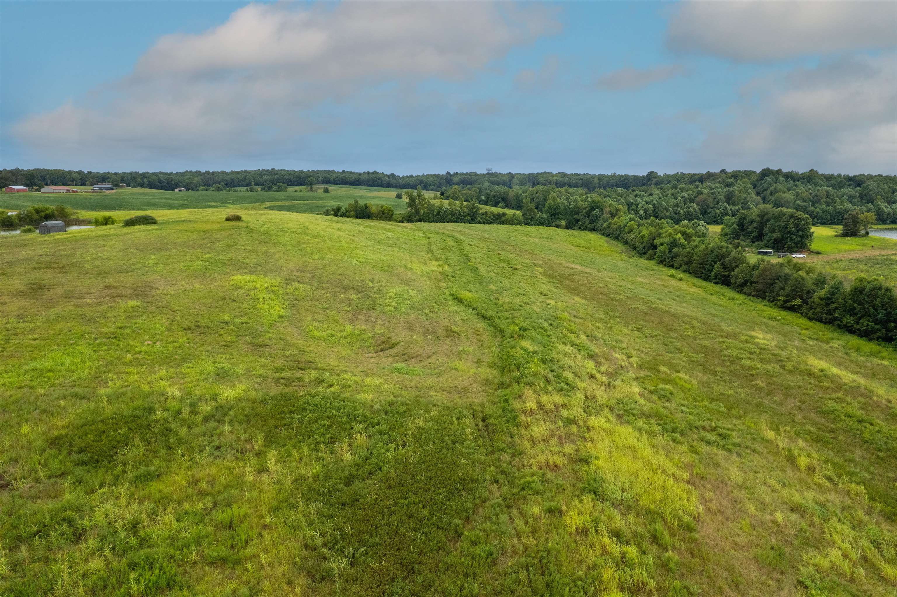 4680 Free Silver Road, Philpot, Kentucky 42366, ,Land,For Sale,Free Silver Road,92871