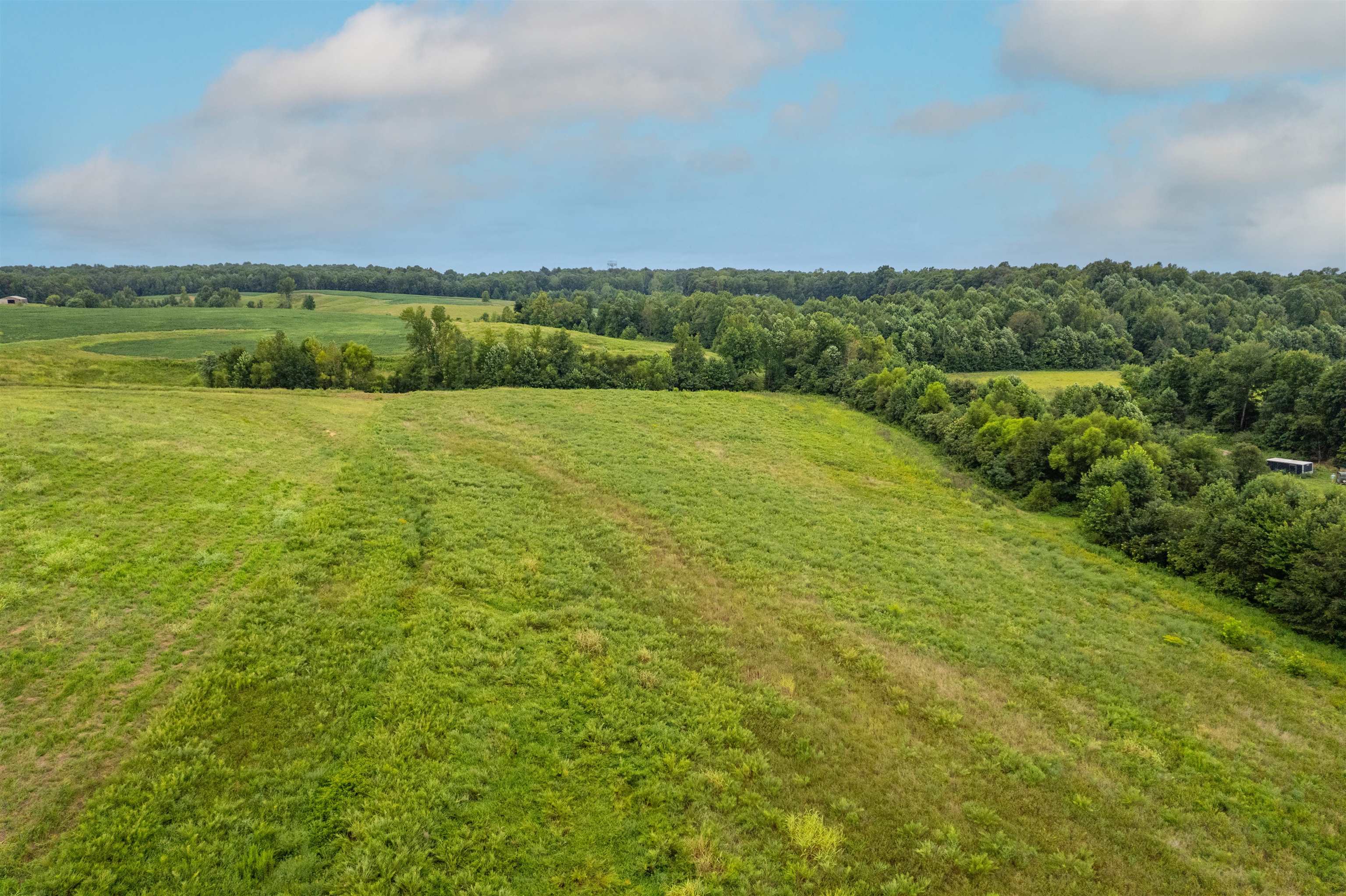 4680 Free Silver Road, Philpot, Kentucky 42366, ,Land,For Sale,Free Silver Road,92871