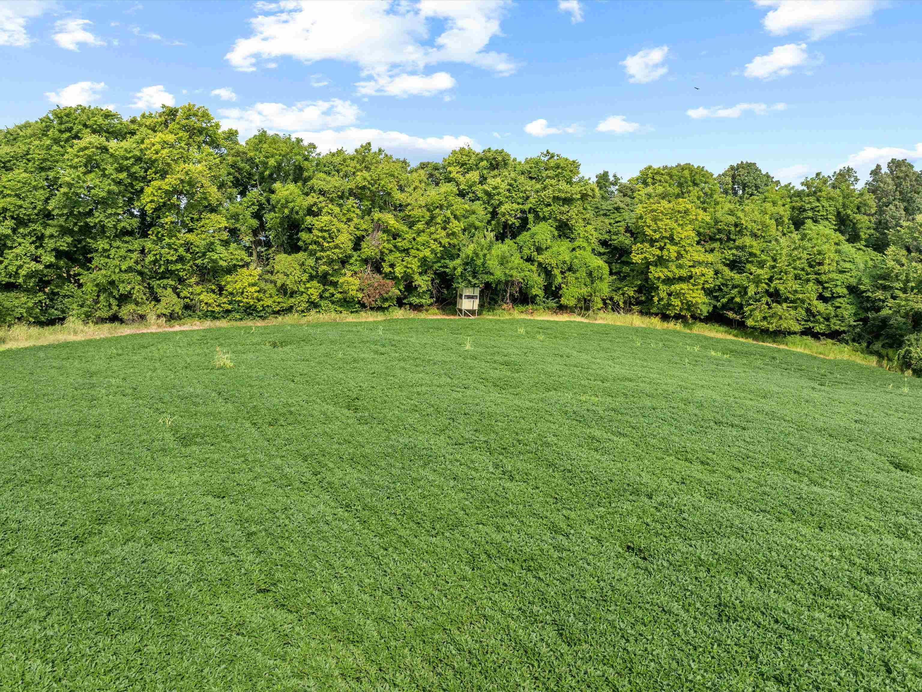 1404 Trailer Road, Calhoun, Kentucky 42327, 3 Bedrooms Bedrooms, ,1 BathroomBathrooms,Farm,For Sale,Trailer Road,92922