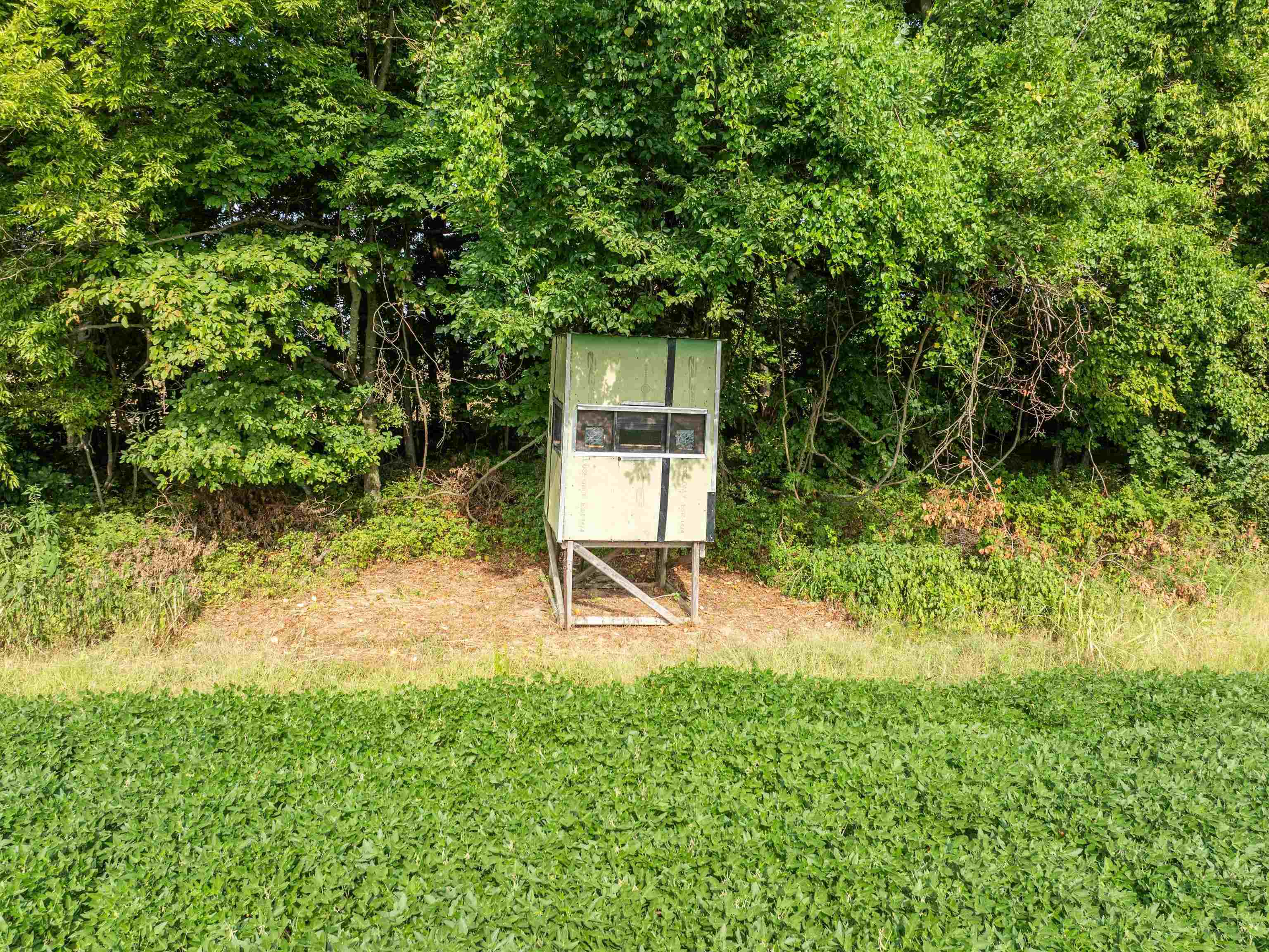 1404 Trailer Road, Calhoun, Kentucky 42327, 3 Bedrooms Bedrooms, ,1 BathroomBathrooms,Farm,For Sale,Trailer Road,92922