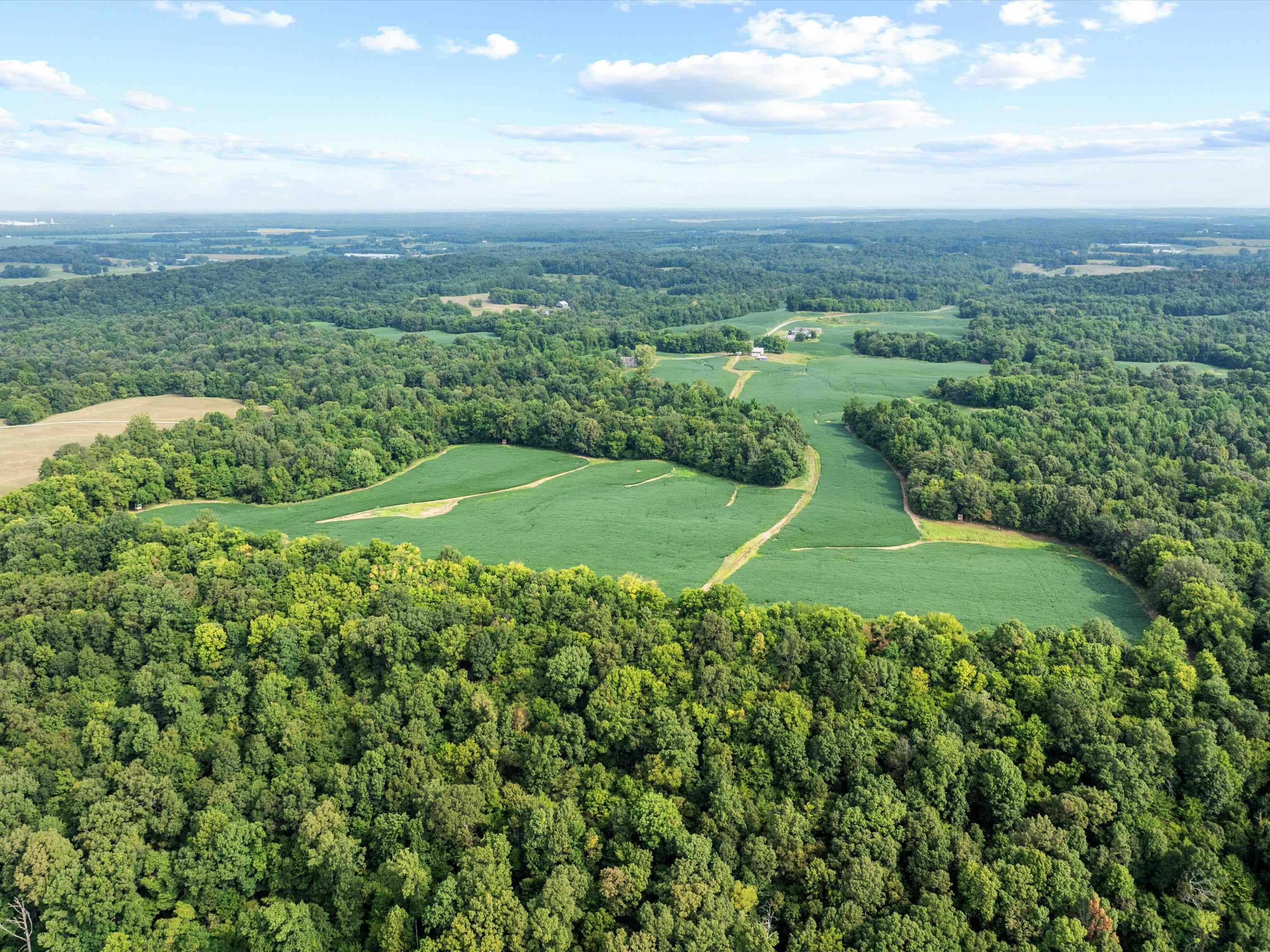 1404 Trailer Road, Calhoun, Kentucky 42327, 3 Bedrooms Bedrooms, ,1 BathroomBathrooms,Farm,For Sale,Trailer Road,92922