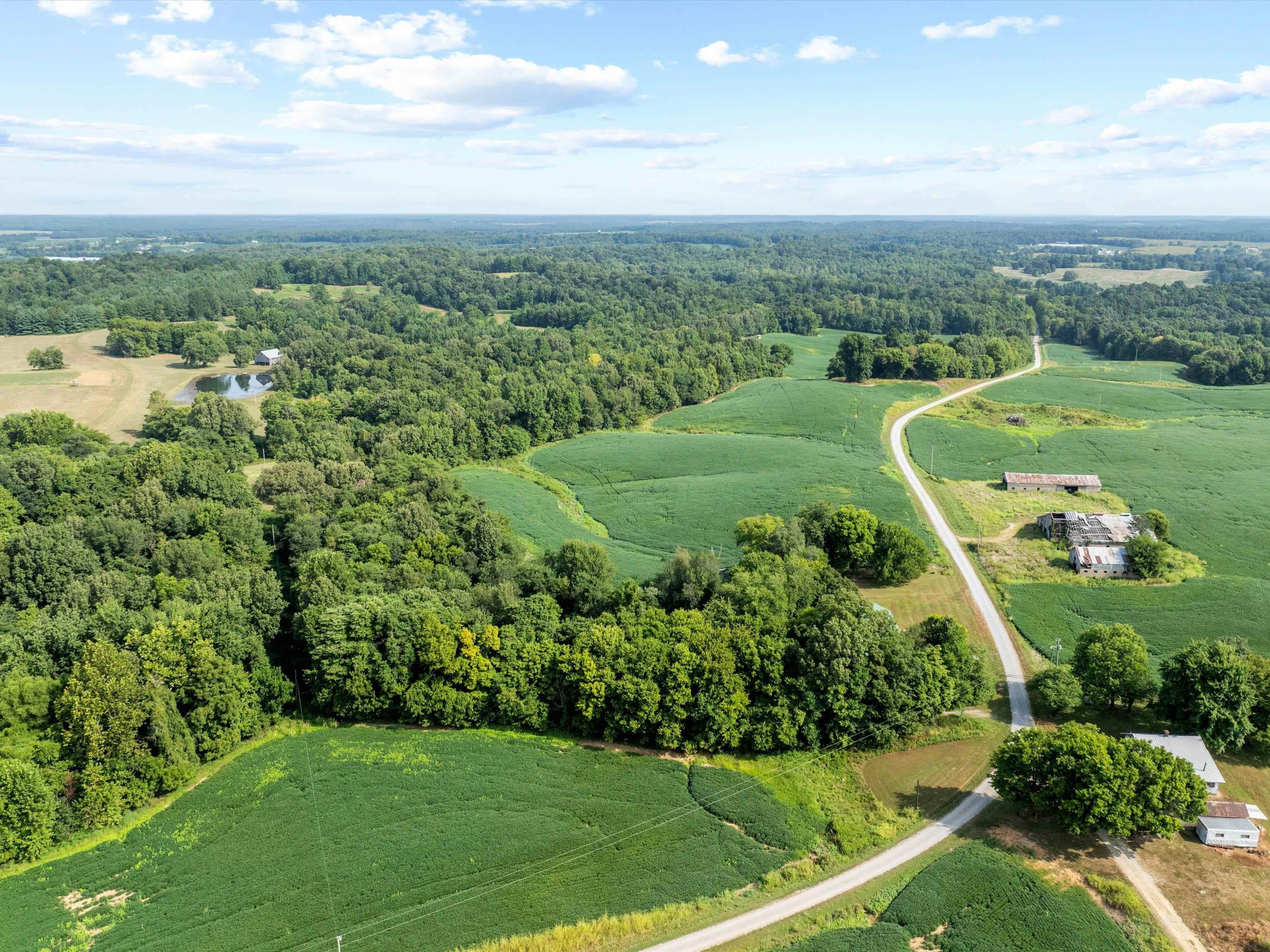 1404 Trailer Road, Calhoun, Kentucky 42327, 3 Bedrooms Bedrooms, ,1 BathroomBathrooms,Farm,For Sale,Trailer Road,92922