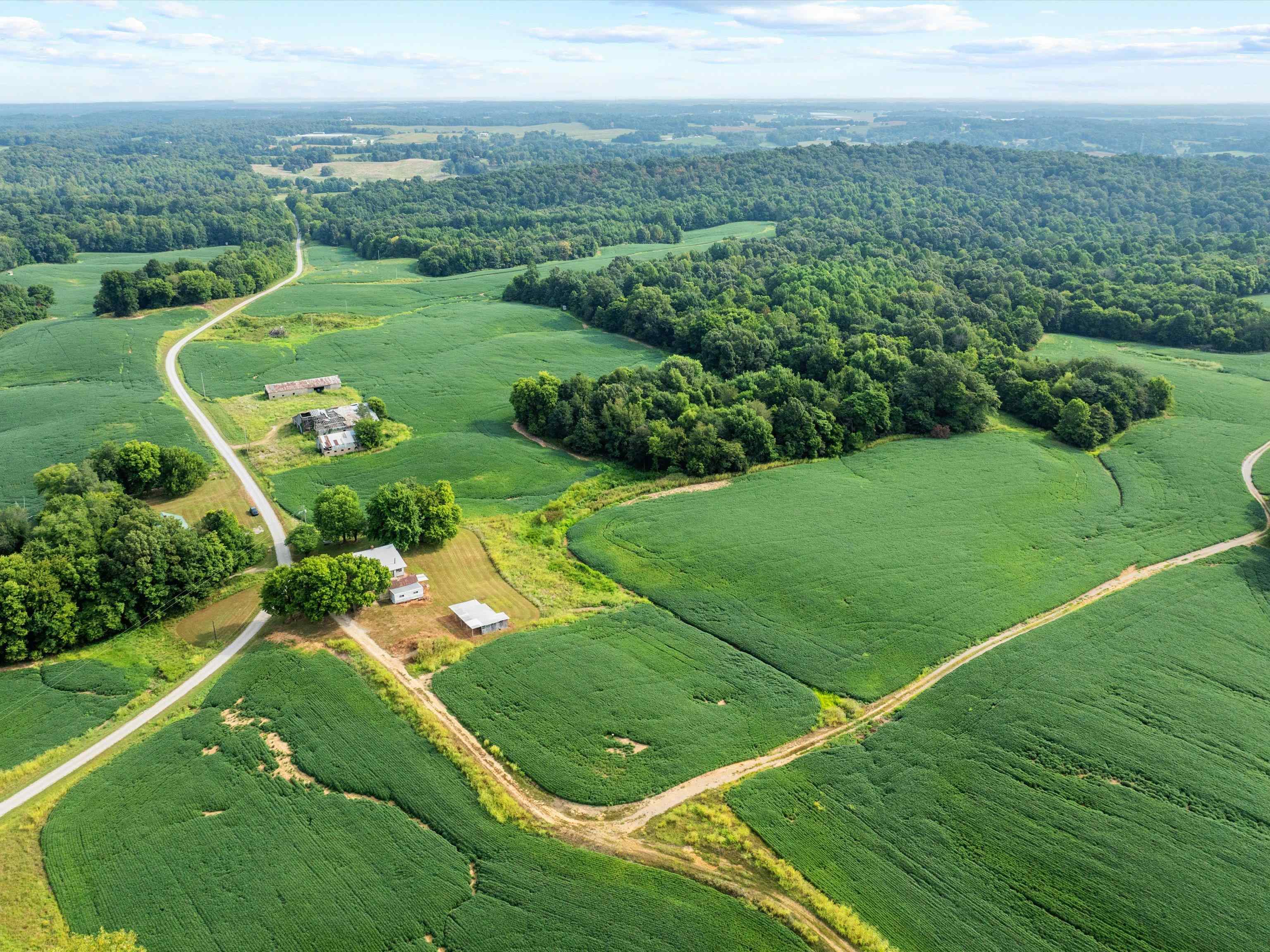1404 Trailer Road, Calhoun, Kentucky 42327, 3 Bedrooms Bedrooms, ,1 BathroomBathrooms,Farm,For Sale,Trailer Road,92922