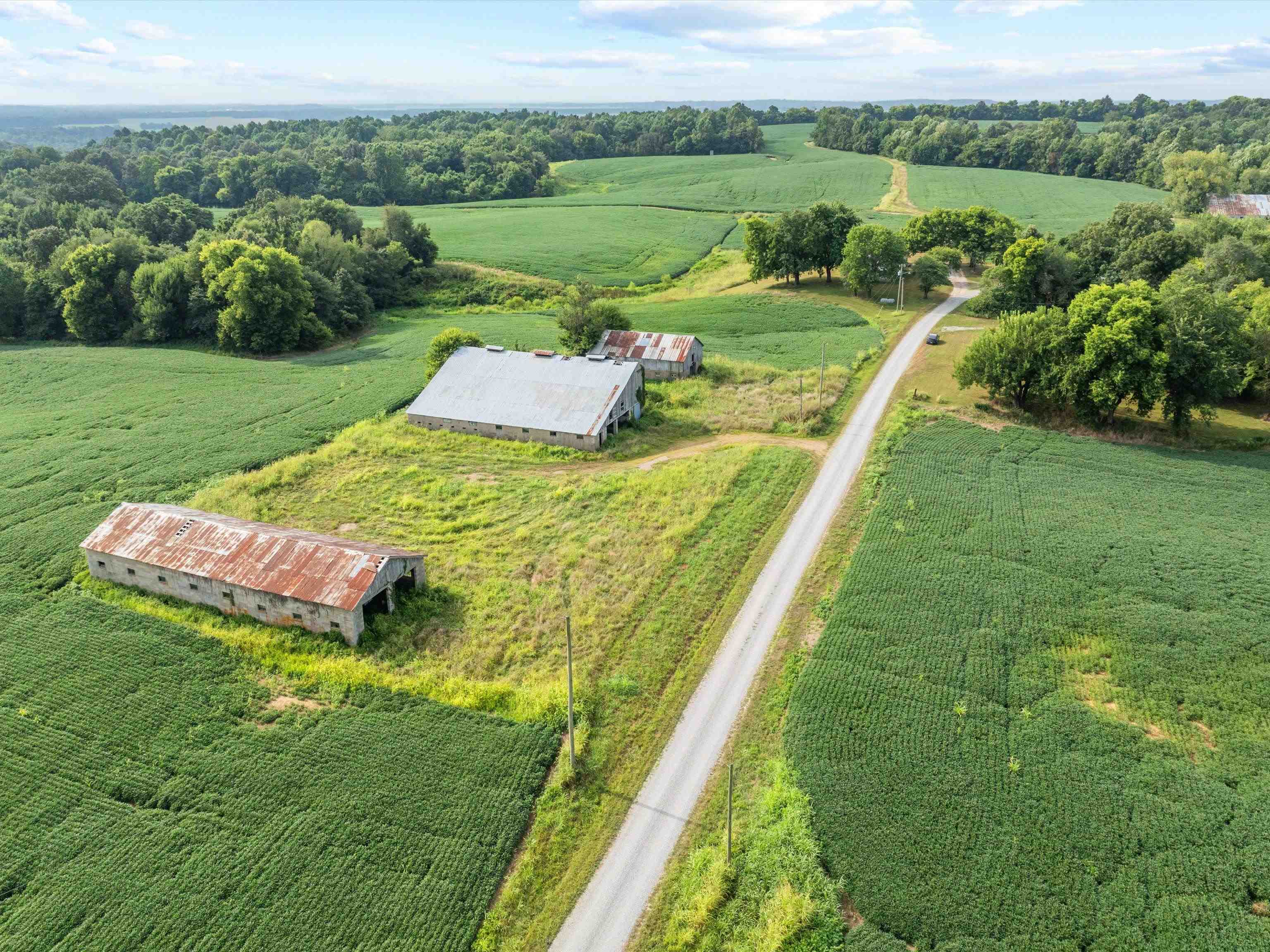 1404 Trailer Road, Calhoun, Kentucky 42327, 3 Bedrooms Bedrooms, ,1 BathroomBathrooms,Farm,For Sale,Trailer Road,92922