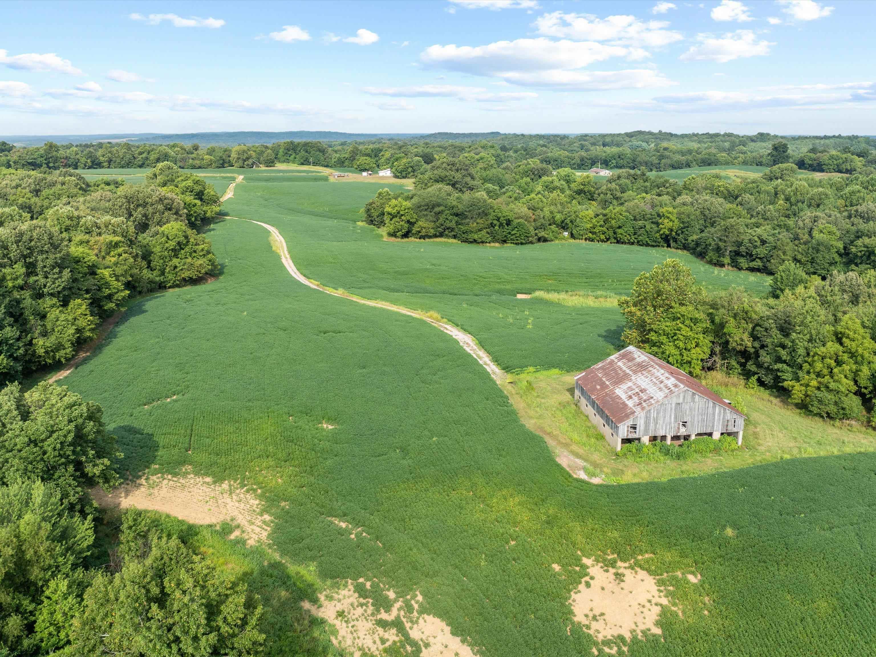1404 Trailer Road, Calhoun, Kentucky 42327, 3 Bedrooms Bedrooms, ,1 BathroomBathrooms,Farm,For Sale,Trailer Road,92922