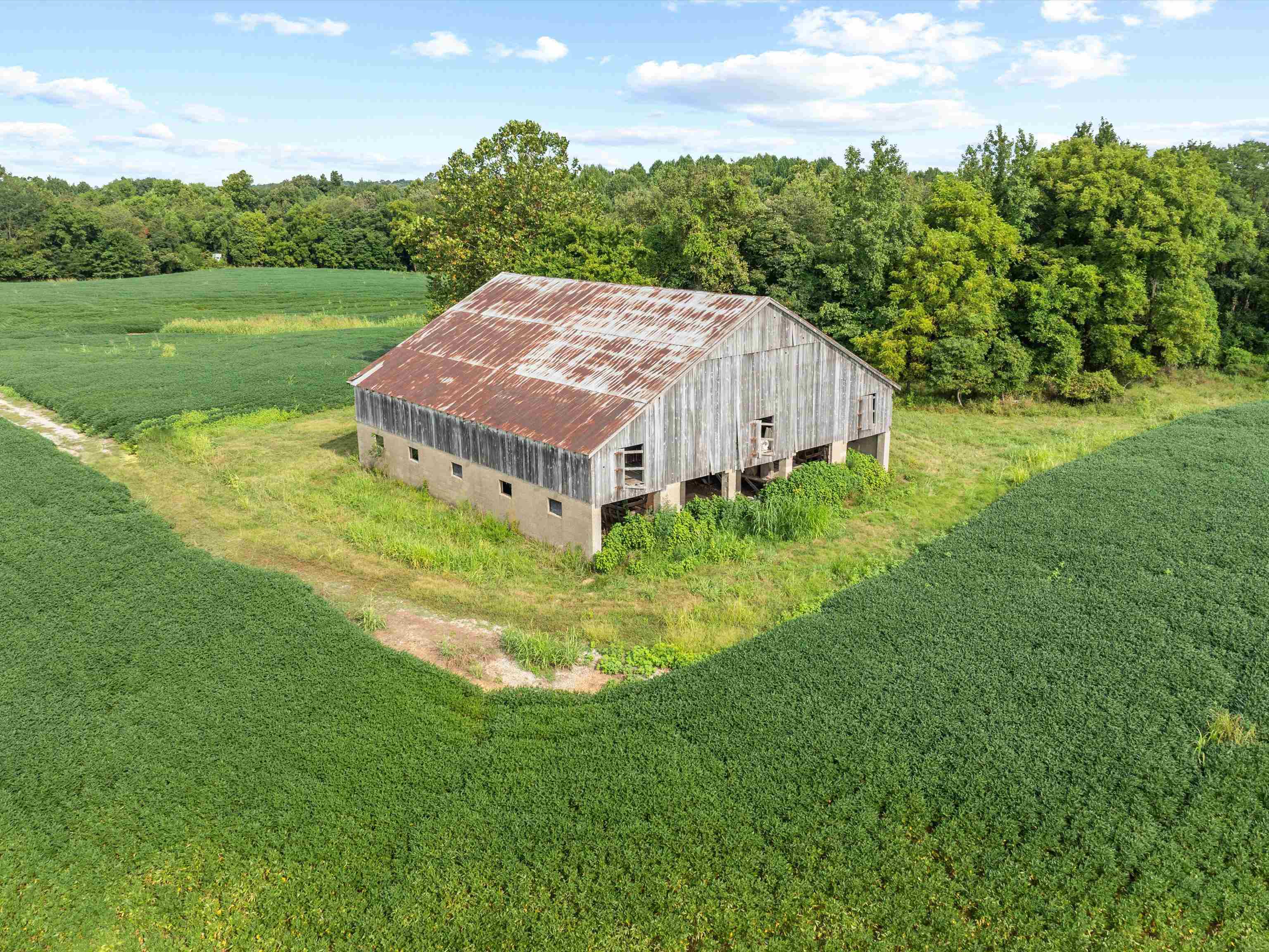 1404 Trailer Road, Calhoun, Kentucky 42327, 3 Bedrooms Bedrooms, ,1 BathroomBathrooms,Farm,For Sale,Trailer Road,92922