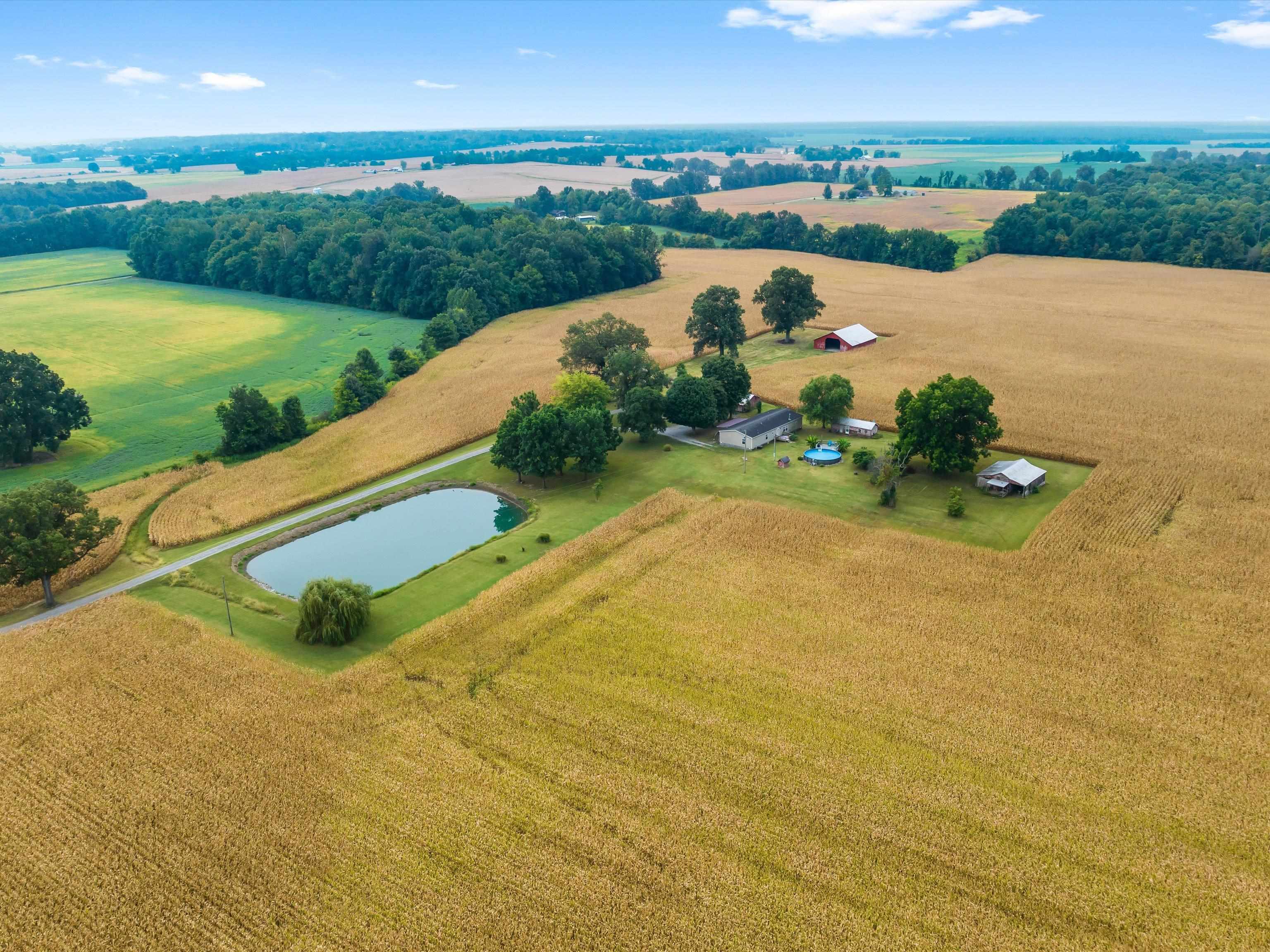 441 Adams Schoolhouse Rd, Sacramento, Kentucky 42372, 4 Bedrooms Bedrooms, ,2 BathroomsBathrooms,Manufactured Home,For Sale,Adams Schoolhouse Rd,92999