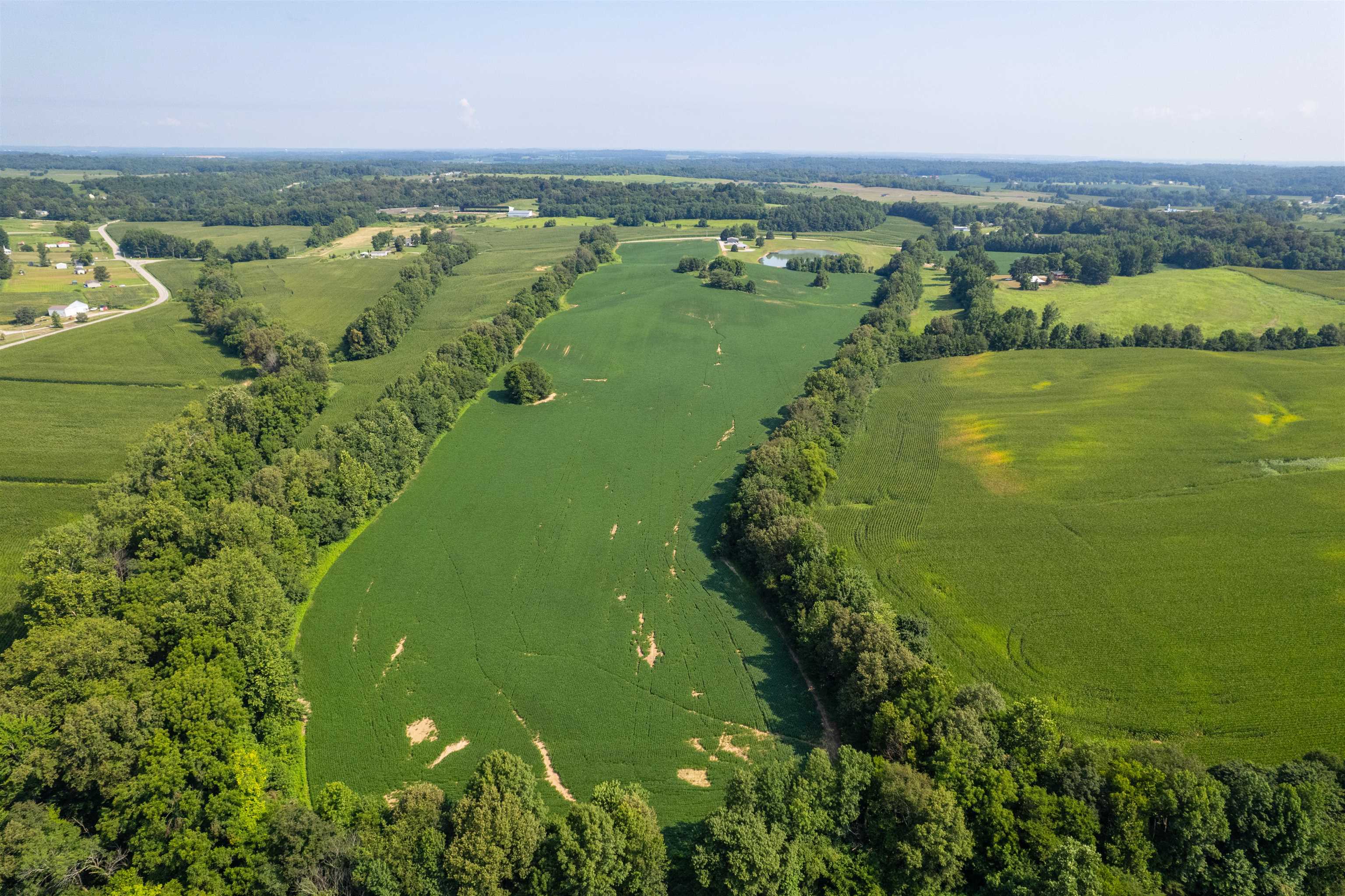 4880 Kentucky 554, Owensboro, Kentucky 42376, ,Farm,For Sale,Kentucky 554,93000