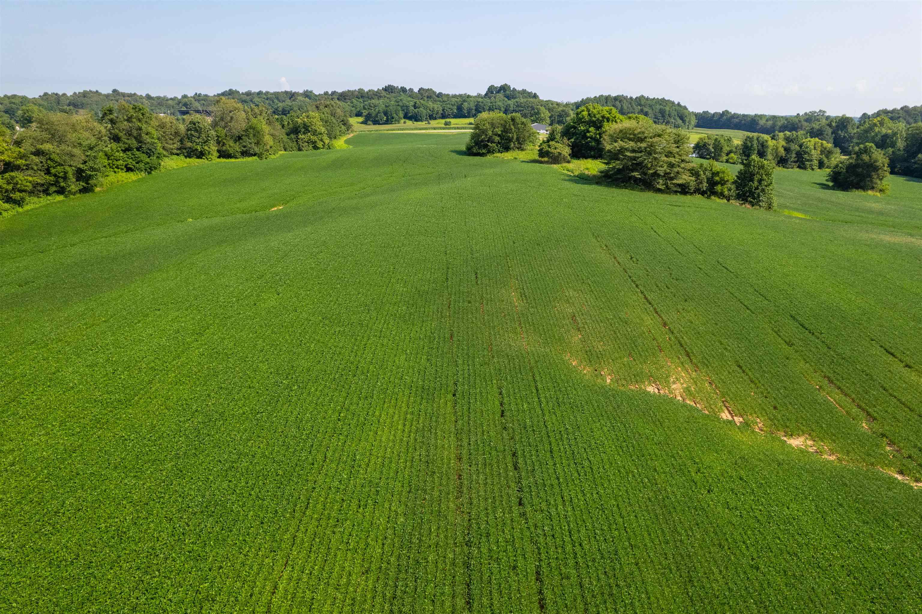 4880 Kentucky 554, Owensboro, Kentucky 42376, ,Farm,For Sale,Kentucky 554,93000