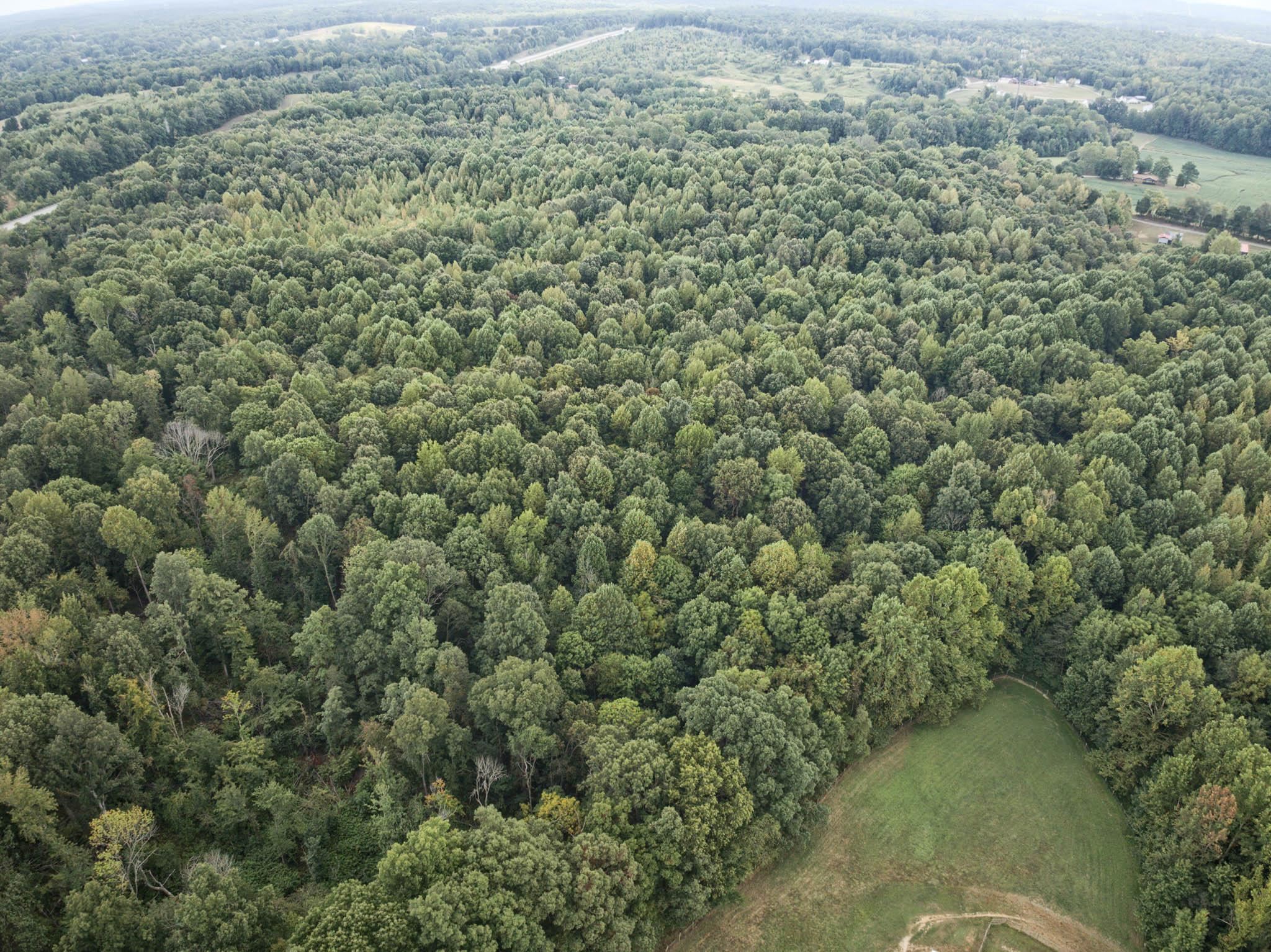 4799 Hwy 764, Whitesville, Kentucky 42378, ,Land,For Sale,Hwy 764,93038