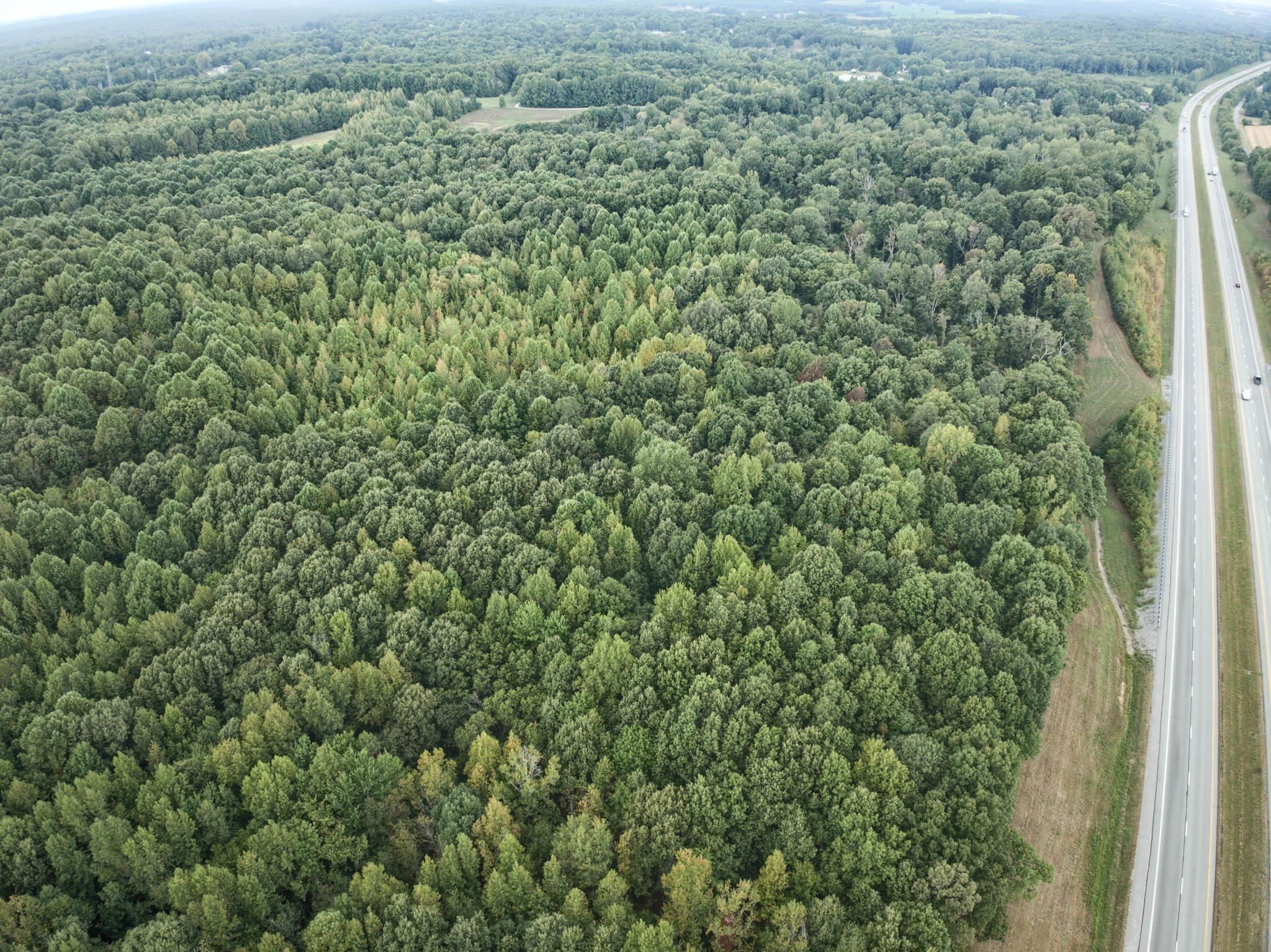 4799 Hwy 764, Whitesville, Kentucky 42378, ,Land,For Sale,Hwy 764,93038