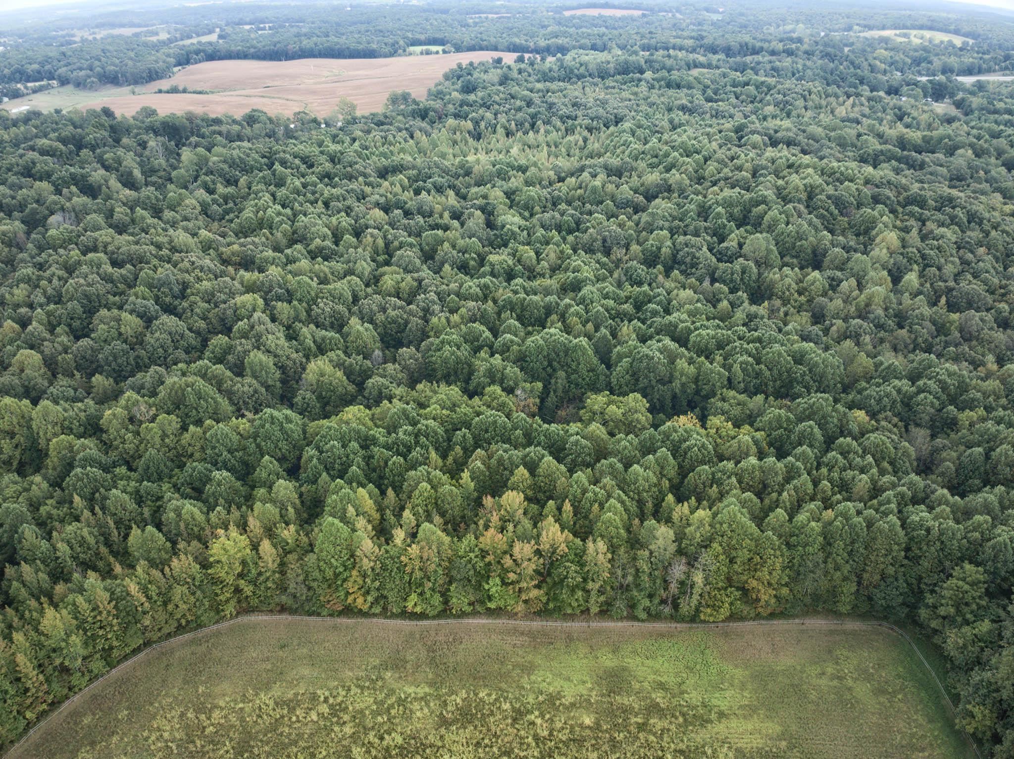4799 Hwy 764, Whitesville, Kentucky 42378, ,Land,For Sale,Hwy 764,93038