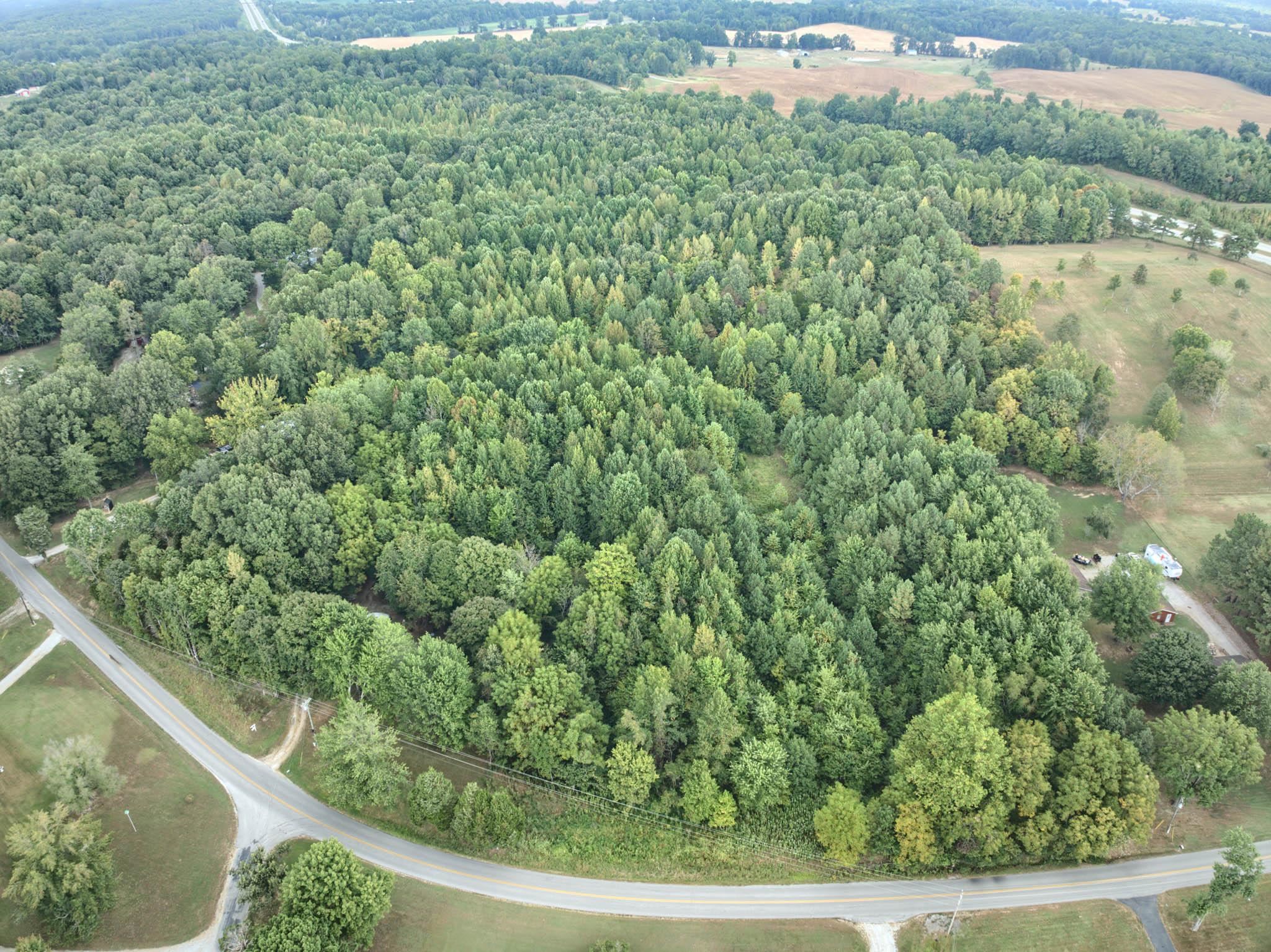 4799 Hwy 764, Whitesville, Kentucky 42378, ,Land,For Sale,Hwy 764,93038