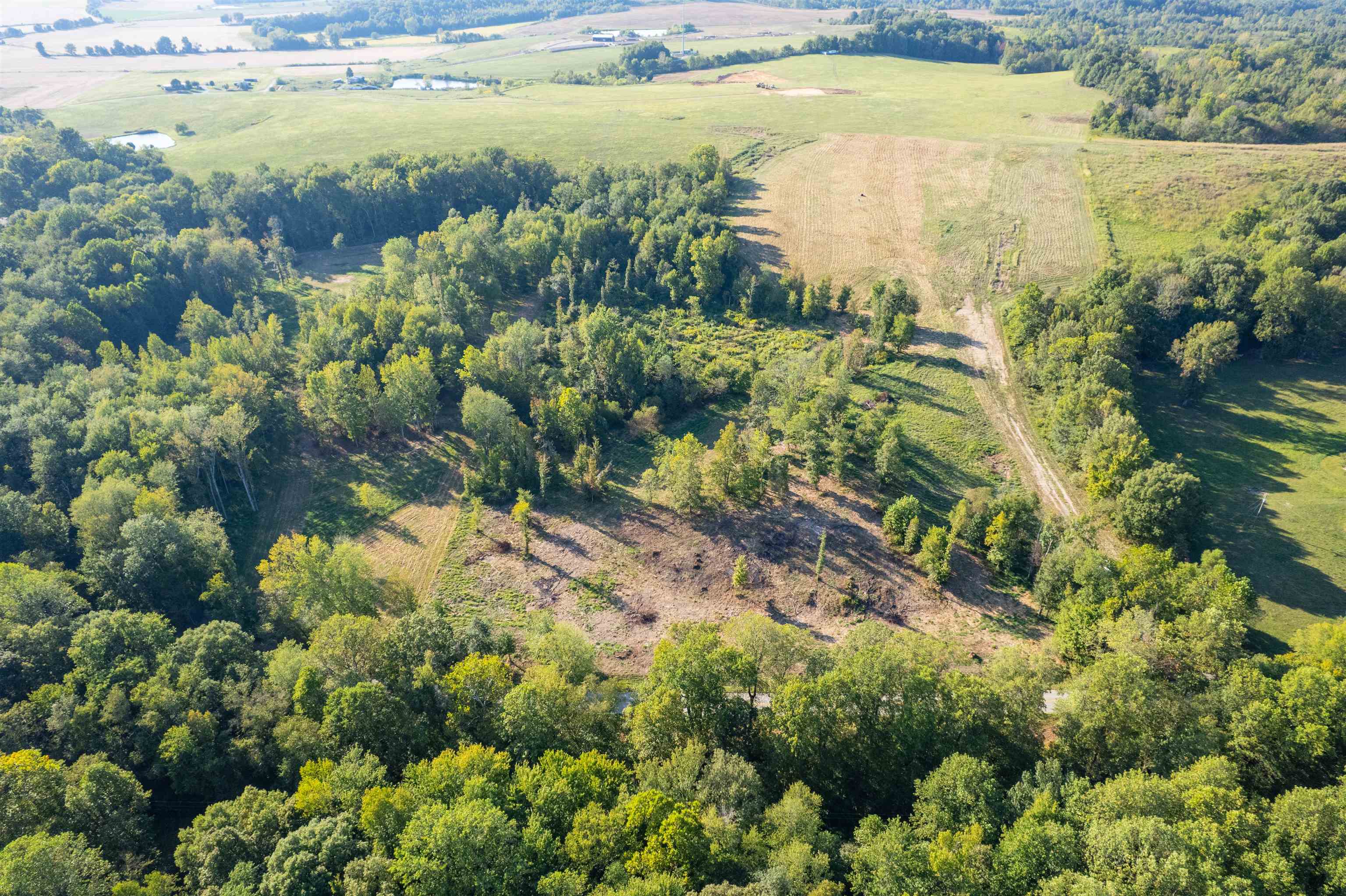 11009 KY-951, Hawesville, Kentucky 42348-840, ,Land,For Sale,KY-951,93090