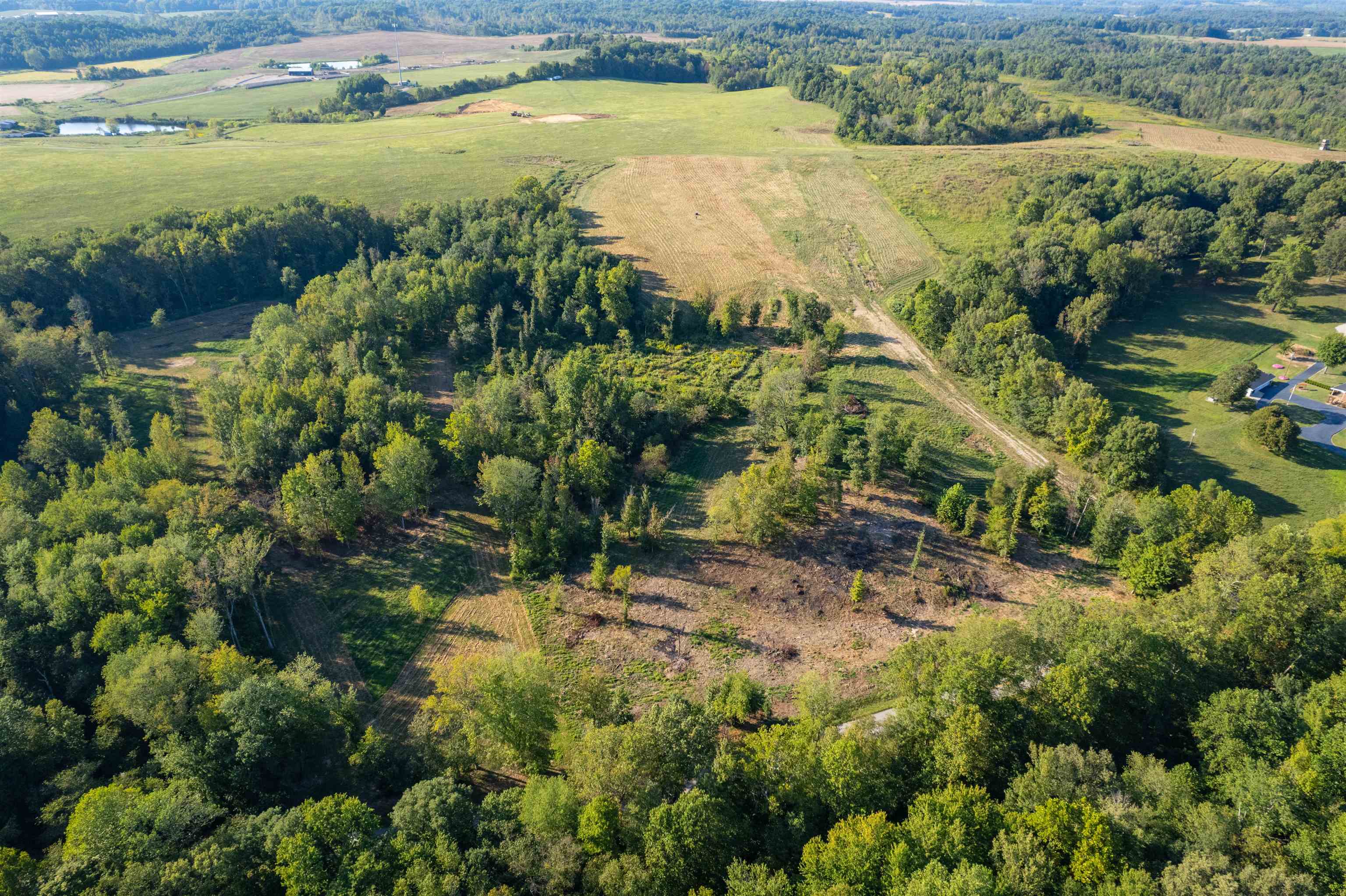 11009 KY-951, Hawesville, Kentucky 42348-840, ,Land,For Sale,KY-951,93090