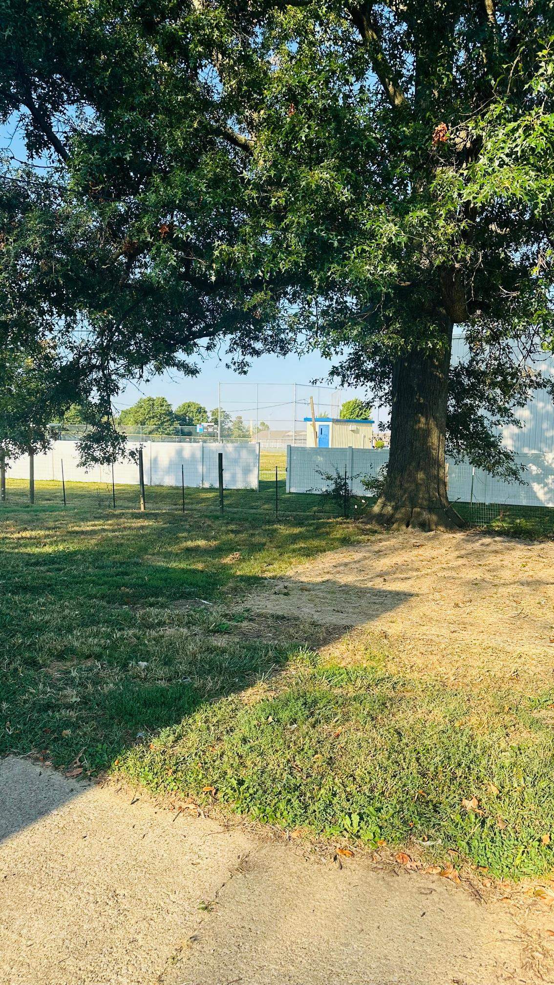 3408 Arlington, Owensboro, Kentucky 42301, 3 Bedrooms Bedrooms, ,1 BathroomBathrooms,Single Family Residence,For Sale,Arlington,93102
